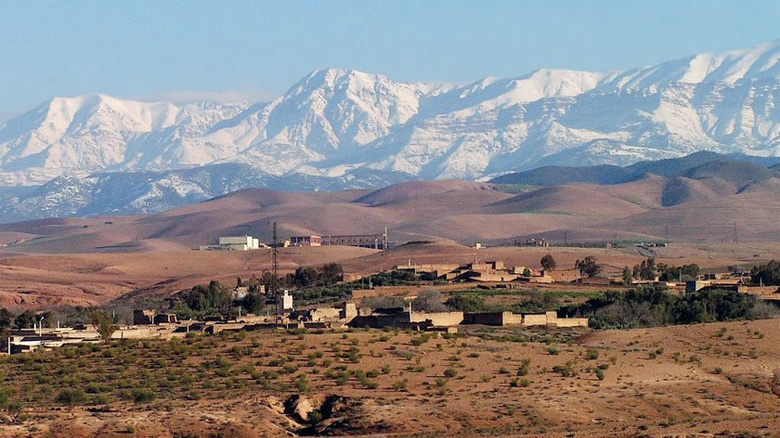 Société | Retrouvez toute l'actualité du Maroc et du monde, en temps réel, sur le premier site d'information francophone au Maroc : www.le360.ma