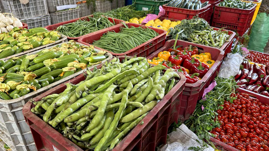 Société | Retrouvez toute l'actualité du Maroc et du monde, en temps réel, sur le premier site d'information francophone au Maroc : www.le360.ma