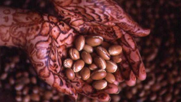 Economie | Retrouvez toute l'actualité du Maroc et du monde, en temps réel, sur le premier site d'information francophone au Maroc : www.le360.ma