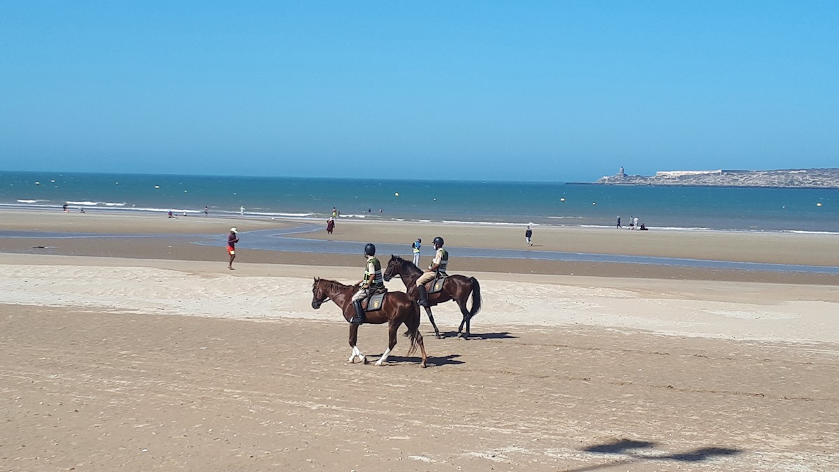 Société | Retrouvez toute l'actualité du Maroc et du monde, en temps réel, sur le premier site d'information francophone au Maroc : www.le360.ma