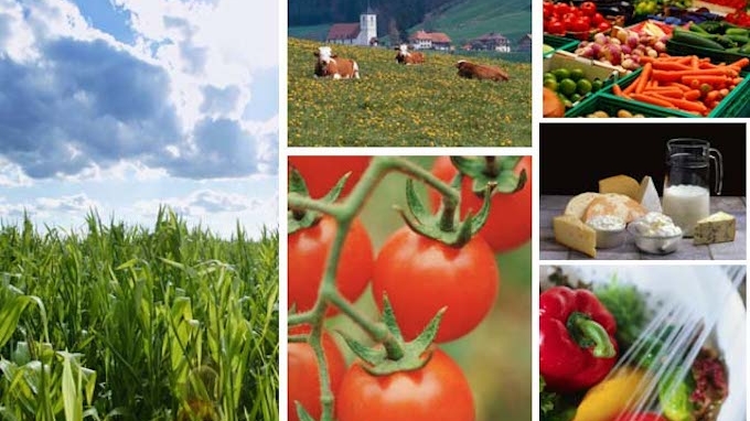 Monde | Retrouvez toute l'actualité du Maroc et du monde, en temps réel, sur le premier site d'information francophone au Maroc : www.le360.ma