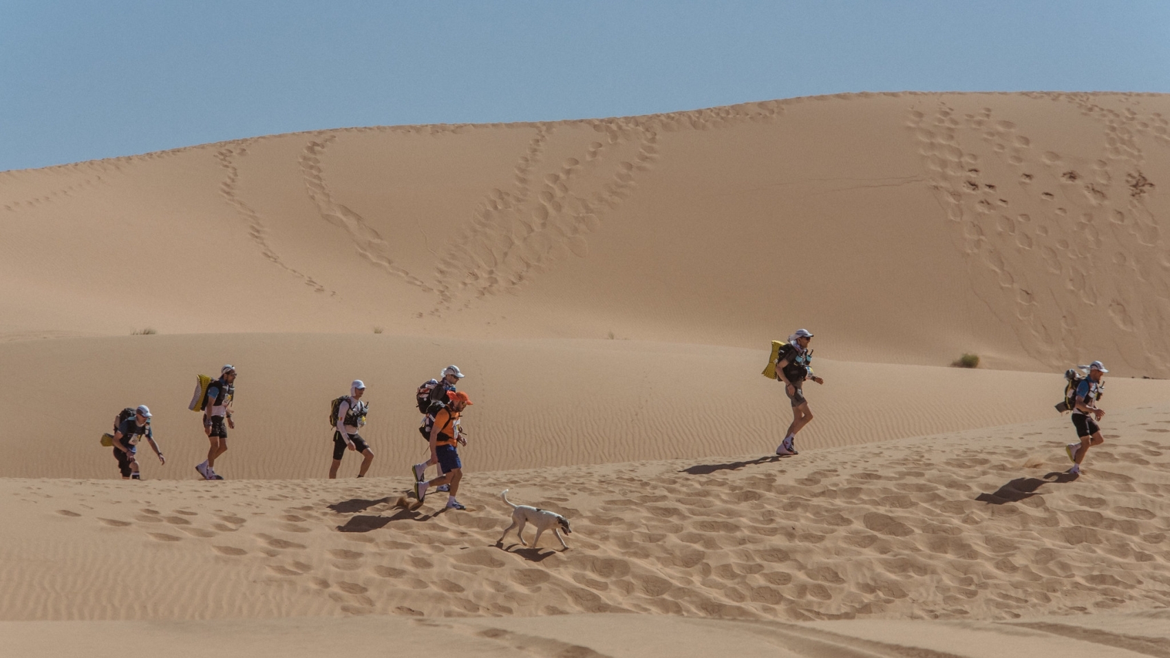 Lifestyle | Retrouvez toute l'actualité du Maroc et du monde, en temps réel, sur le premier site d'information francophone au Maroc : www.le360.ma