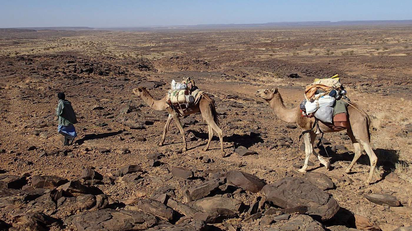 Société | Retrouvez toute l'actualité du Maroc et du monde, en temps réel, sur le premier site d'information francophone au Maroc : www.le360.ma