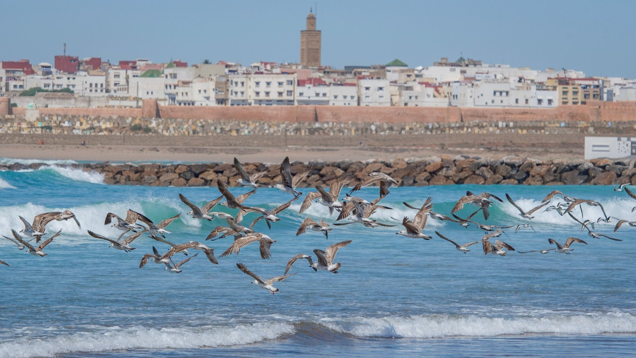 Société | Retrouvez toute l'actualité du Maroc et du monde, en temps réel, sur le premier site d'information francophone au Maroc : www.le360.ma