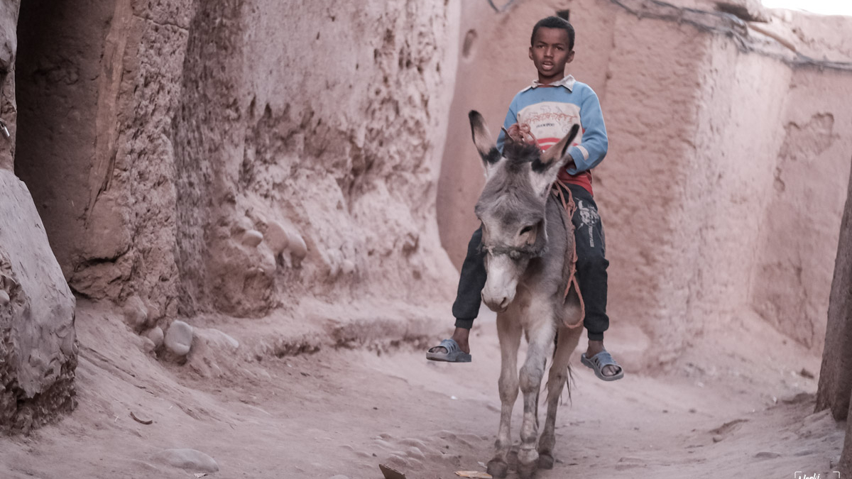 Société | Retrouvez toute l'actualité du Maroc et du monde, en temps réel, sur le premier site d'information francophone au Maroc : www.le360.ma