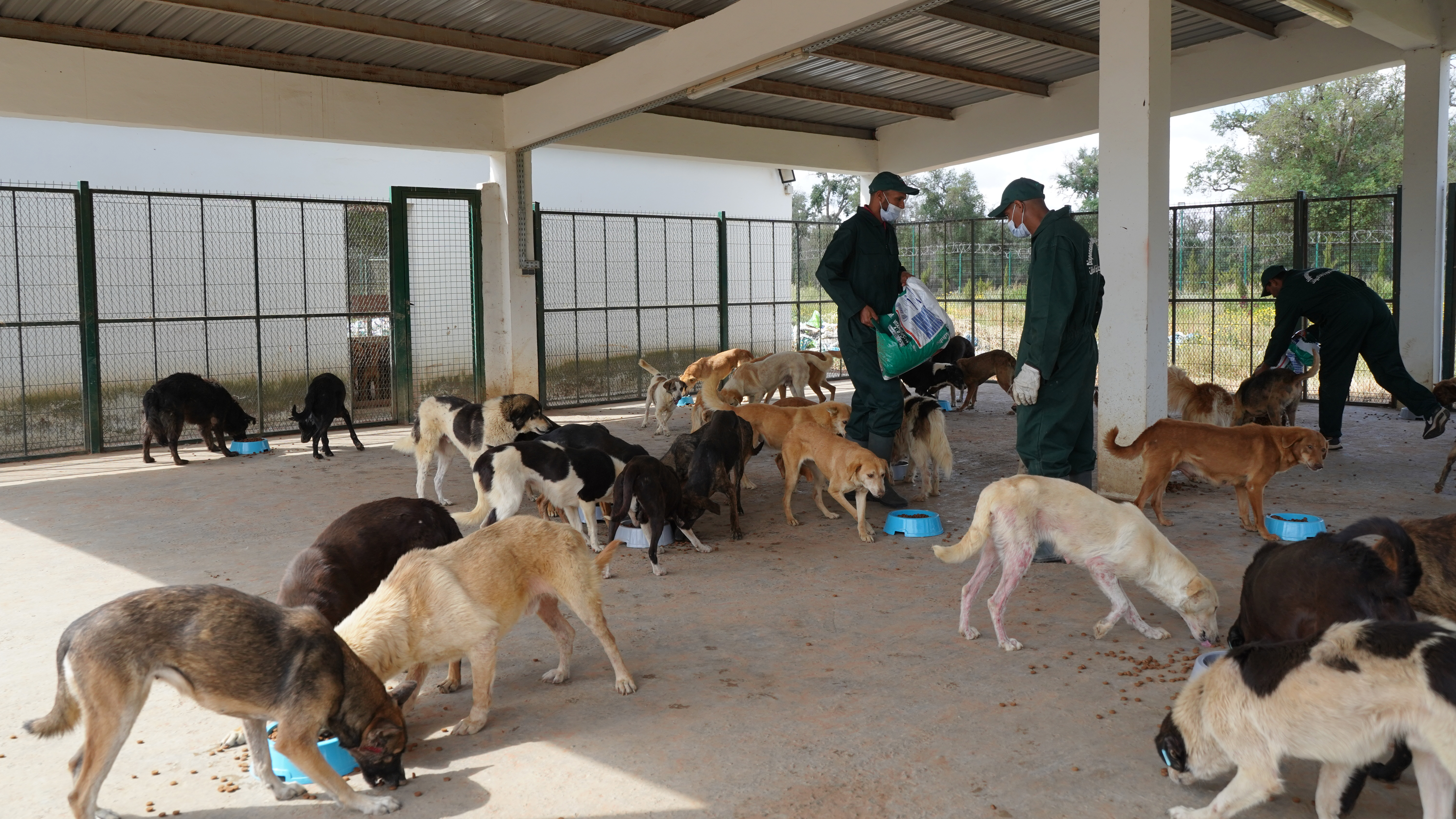 Société | Retrouvez toute l'actualité du Maroc et du monde, en temps réel, sur le premier site d'information francophone au Maroc : www.le360.ma