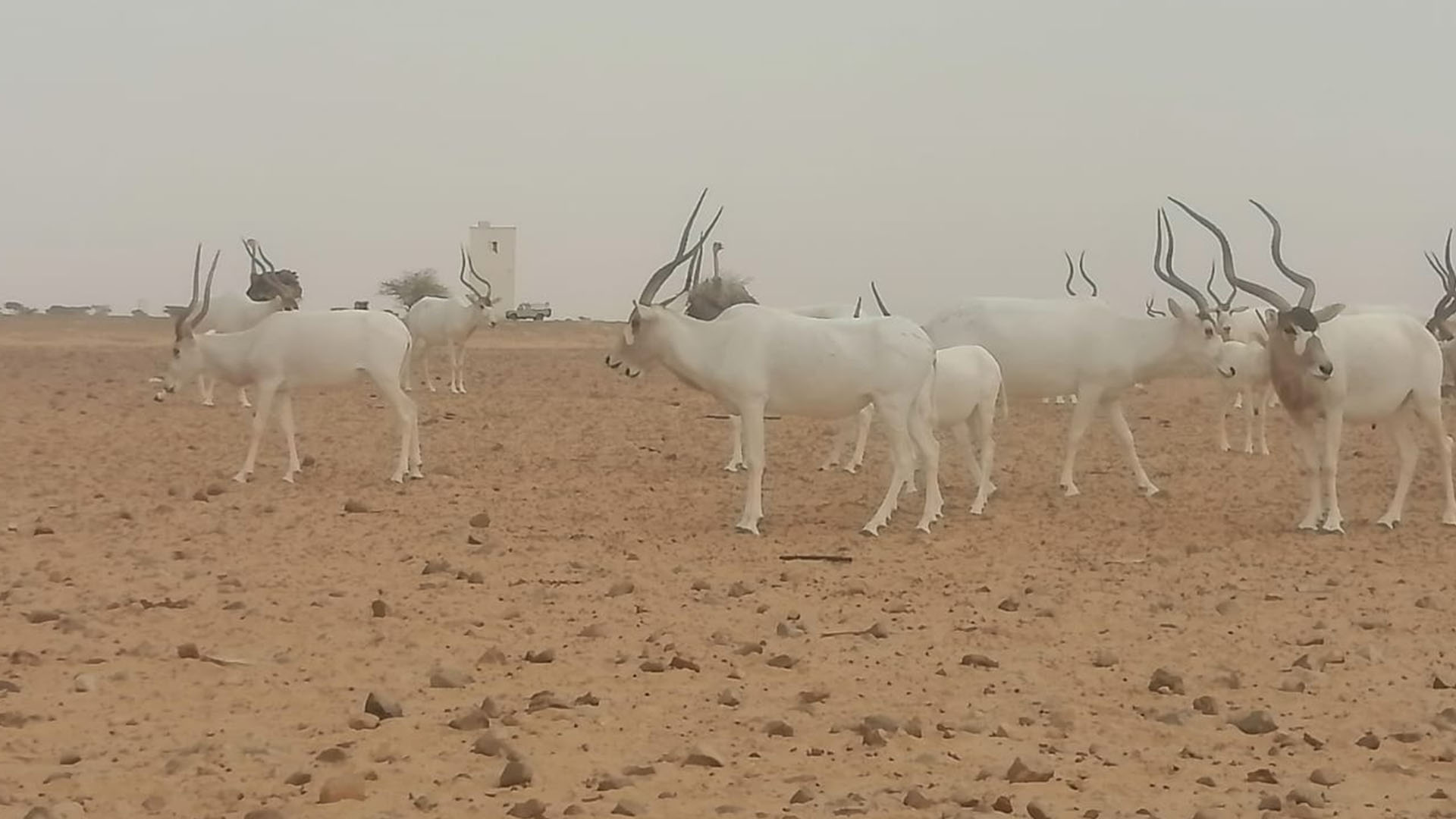 Société | Retrouvez toute l'actualité du Maroc et du monde, en temps réel, sur le premier site d'information francophone au Maroc : www.le360.ma