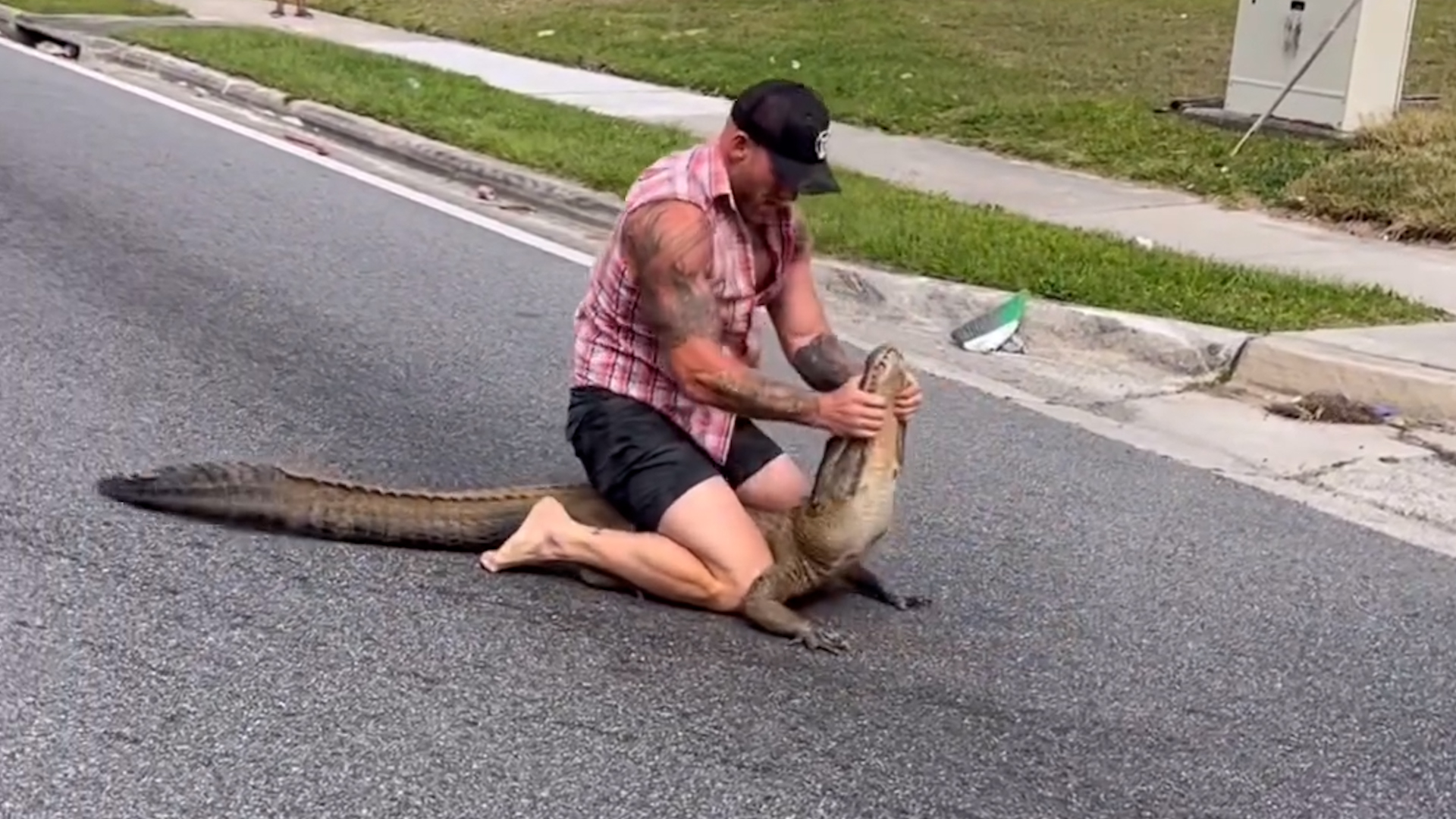 En Floride, un homme capture un alligator à mains nues