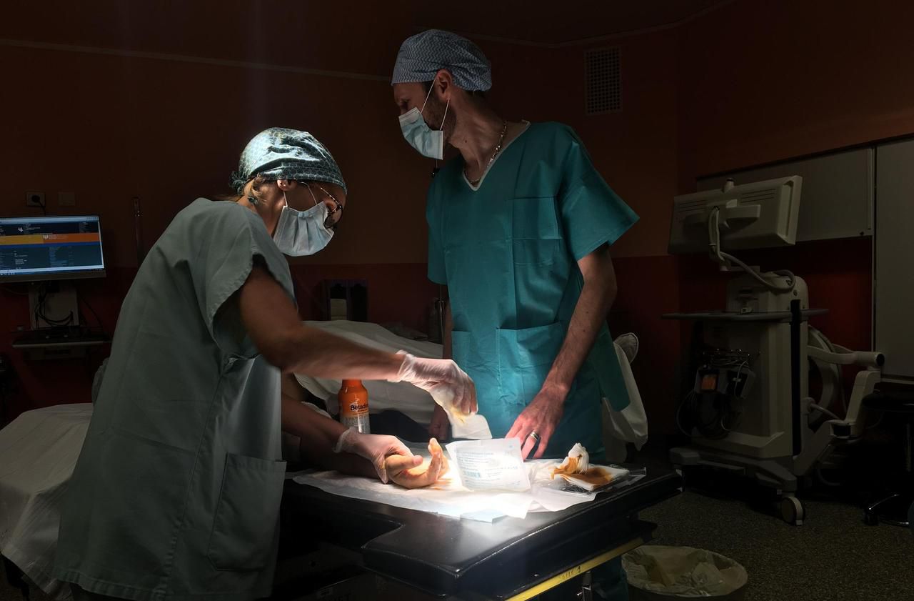 <b></b> Quincy-sous-Sénart, ce mardi 14 juillet 2020. Au bloc opératoire de l’hôpital Claude Galien, le service SOS Mains soigne les blessés.
