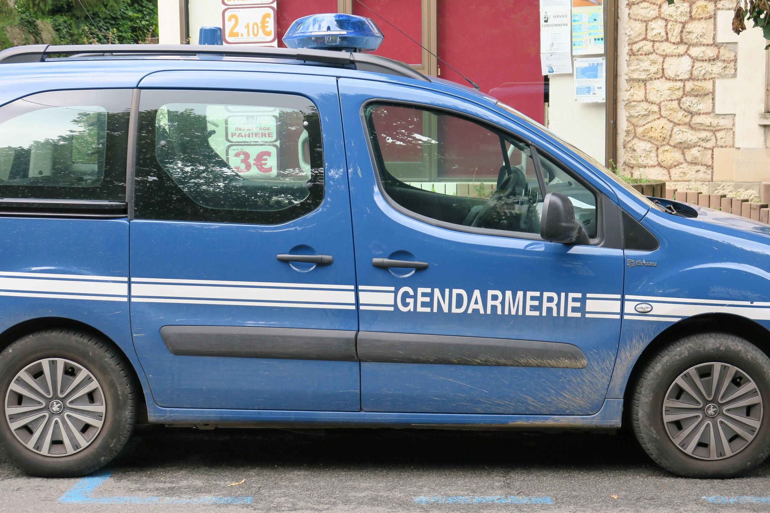 Yanis, 15 ans, a quitté son domicile à La Ferté-Gaucher le dimanche 24 mars pour se rendre à la foire de Coulommiers. Une enquête a été ouverte à la gendarmerie (Illustration). LP/Cécile Chevallier