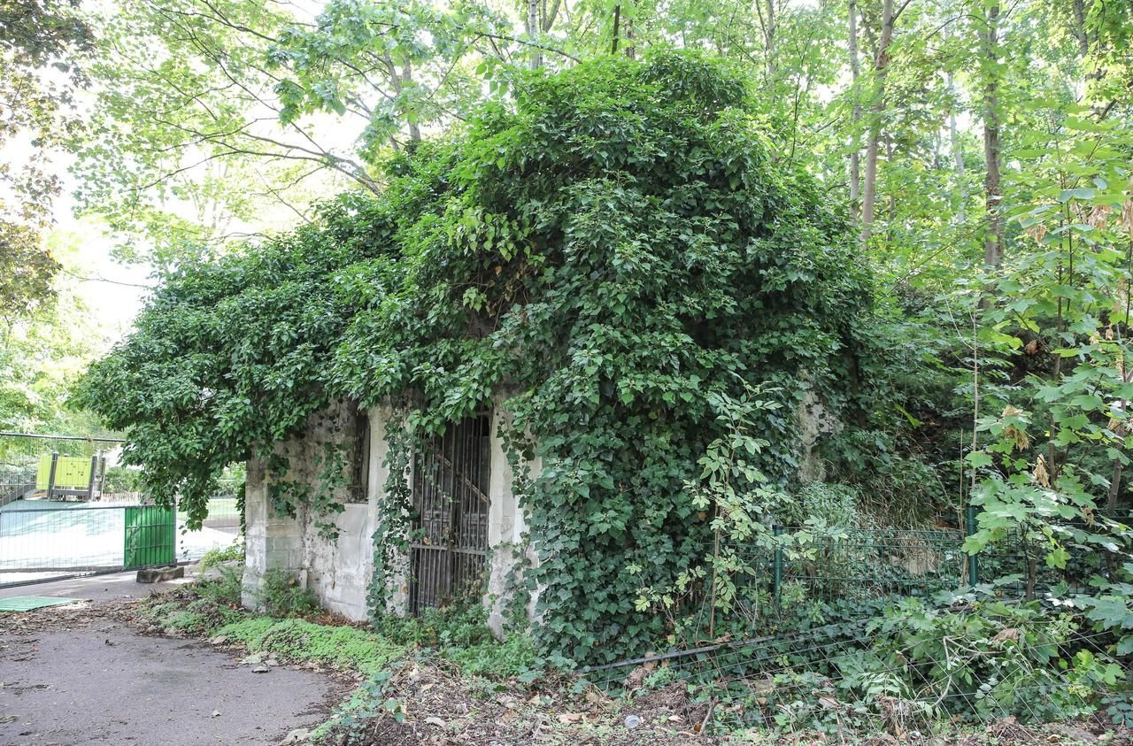 <b></b> Les 97 000 euros versés par la Mission Patrimoine va aider la ville à rénover deux glacières à peine visibles dans le parc Frédéric Pic.