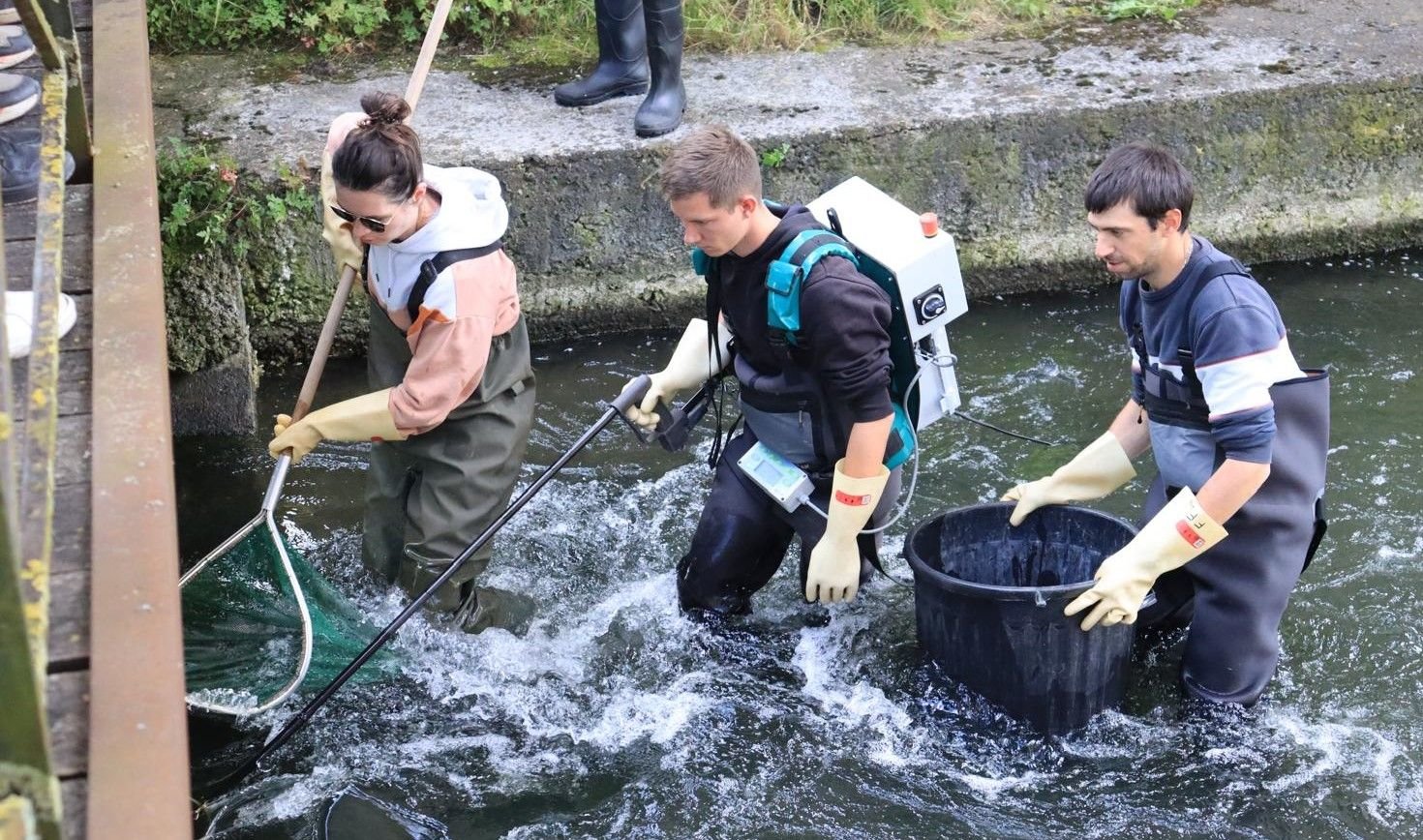 Chantilly (Oise), juin 2024. À partir de la fin du mois, la fédération de pêche de l'Oise va systématiser les pêches d'inventaire en plusieurs lieux, pour suivre l'impact du changement climatique sur l'état des cours d'eau. LP/Juliette Vienot de Vaublanc