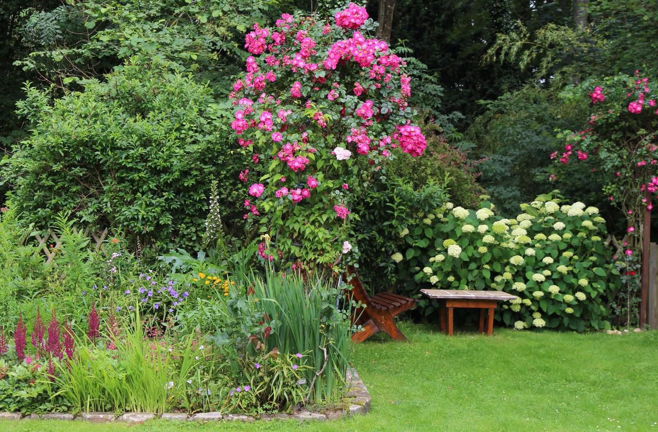 <b></b> Vendredi, les Jardins de la Rémarde situés au Val-Saint-Germain ouvrent exceptionnellement leurs portes au public dans le cadre d’une opération de l’association caritative Open gardens/Jardins ouverts. 