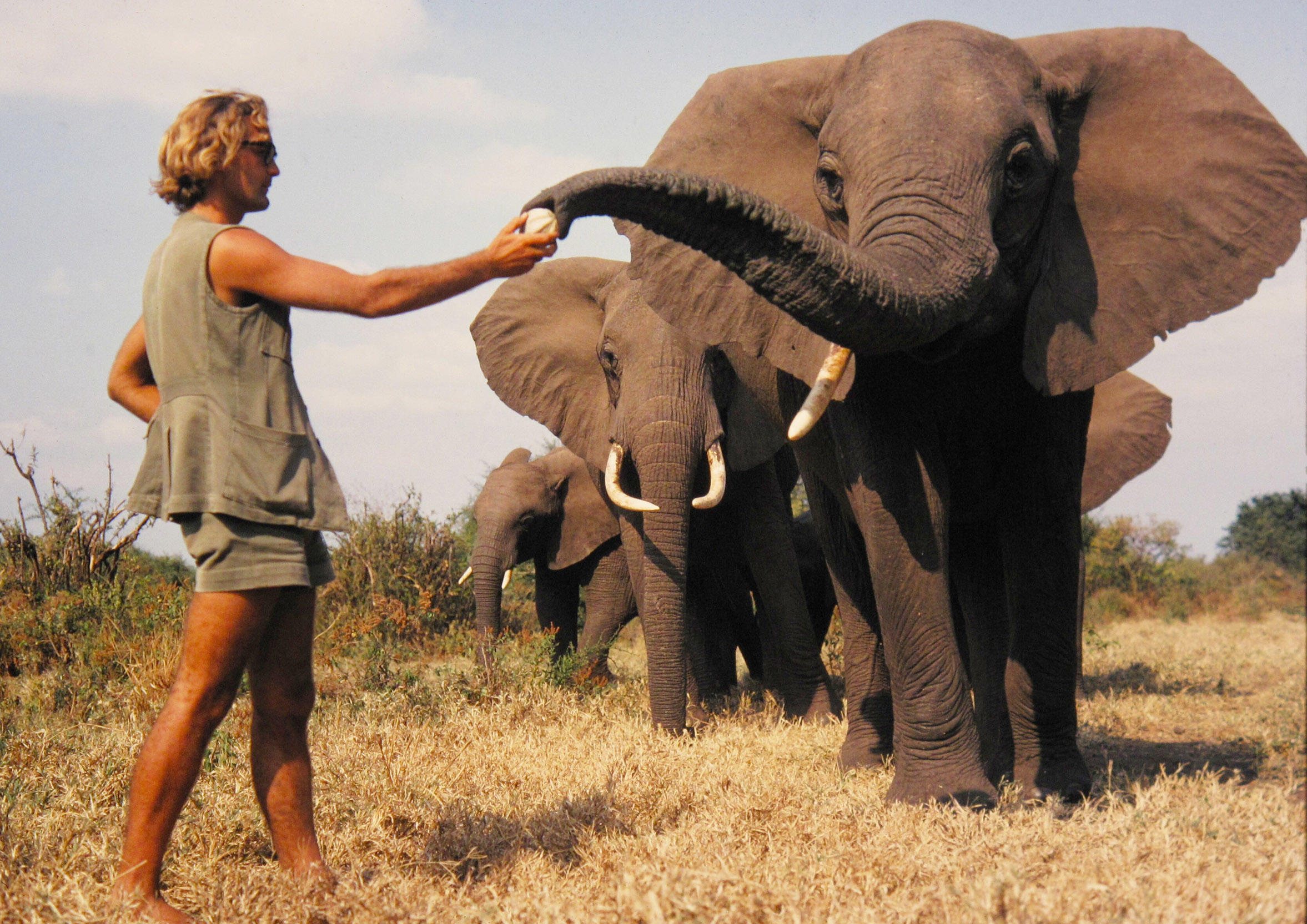 Arte diffuse un éblouissant portrait de Iain Douglas-Hamilton, zoologiste britannique aujourd'hui âgé de 82 ans, qui vit auprès des éléphants d’Afrique depuis l’âge de 23 ans. Arte/Maramedia