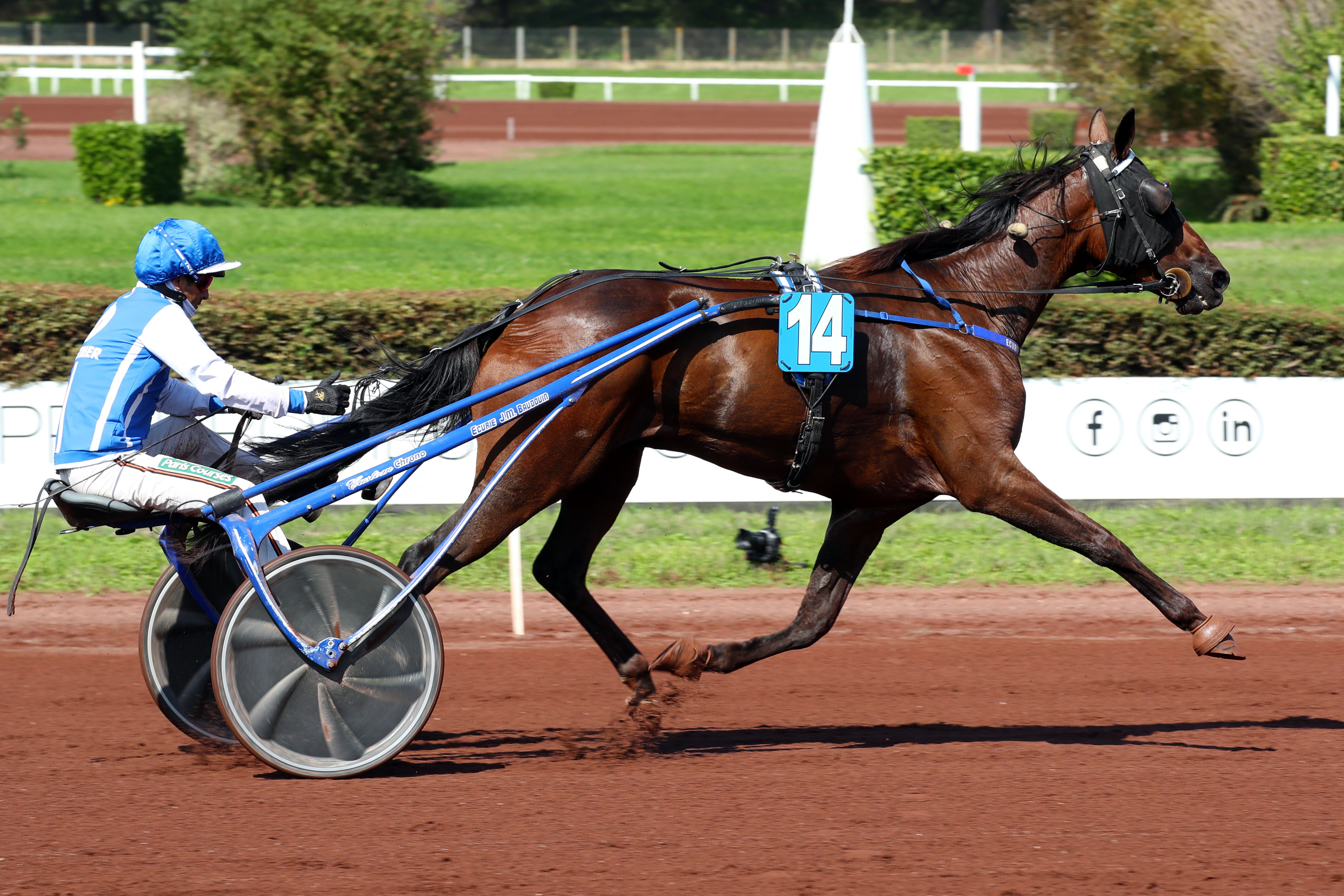 Lyon-Parilly (Rhône), mercredi 18 septembre. Drivé par Eric Raffin, Gaspar d'Angis s'impose très facilement. (Scoopdyga/Valentin Desbriel)