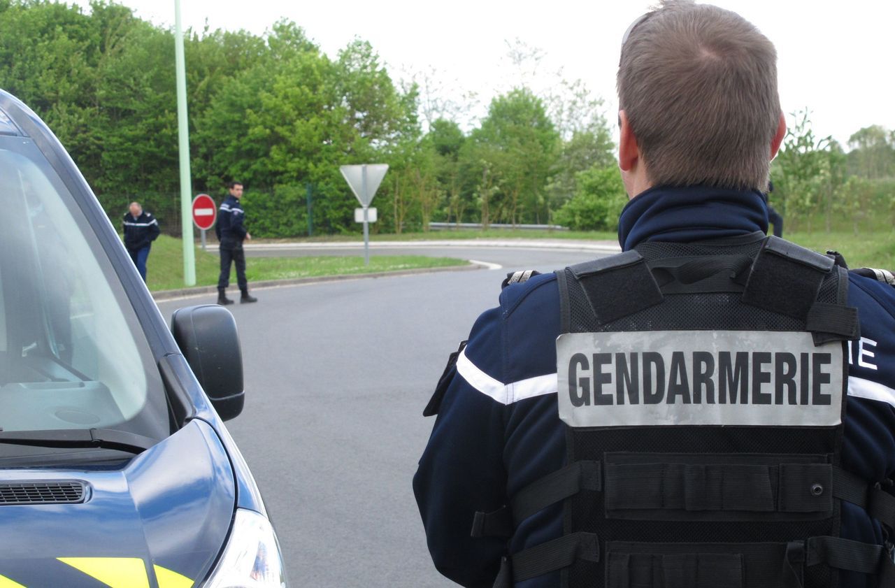 Un collègue du gendarme, stagiaire au moment des faits, était aussi poursuivi pour complicité de violences mais a été relaxé. LP/Mehdi Gherdane
