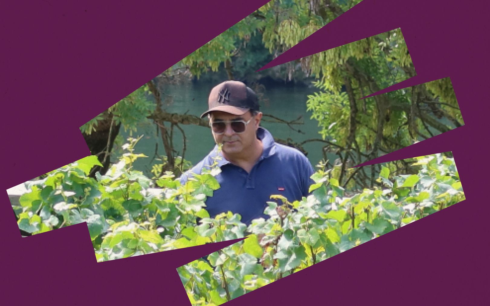 Emmanuel Monteau, conseiller viticole indépendant, officie au parc du Sausset et aussi dans les vignes de Saint-Fargeau-Ponthierry. Le Parisien DA - LP/Alexandre Arlot