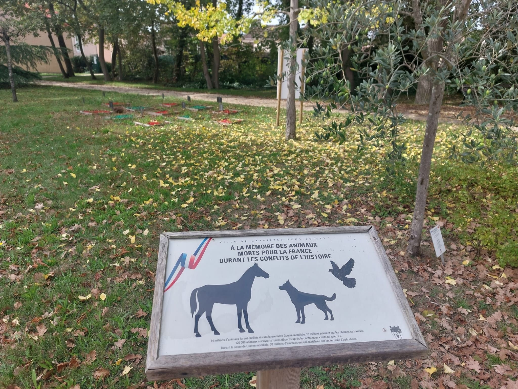 Carrières-sous-Poissy (Yvelines), le 27 septembre 2023. Le colombarium sera installé dans le parc de l'Hôtel de ville, à proximité du monument à la mémoire des animaux morts pour la France. LP/Stéphane Corby