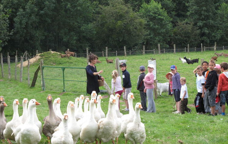 <b>Illustration.</b> L’association présentera, le week-end prochain, ses animaux au cœur de la ferme pédagogique de Beaulieu-les-Fontaines. 