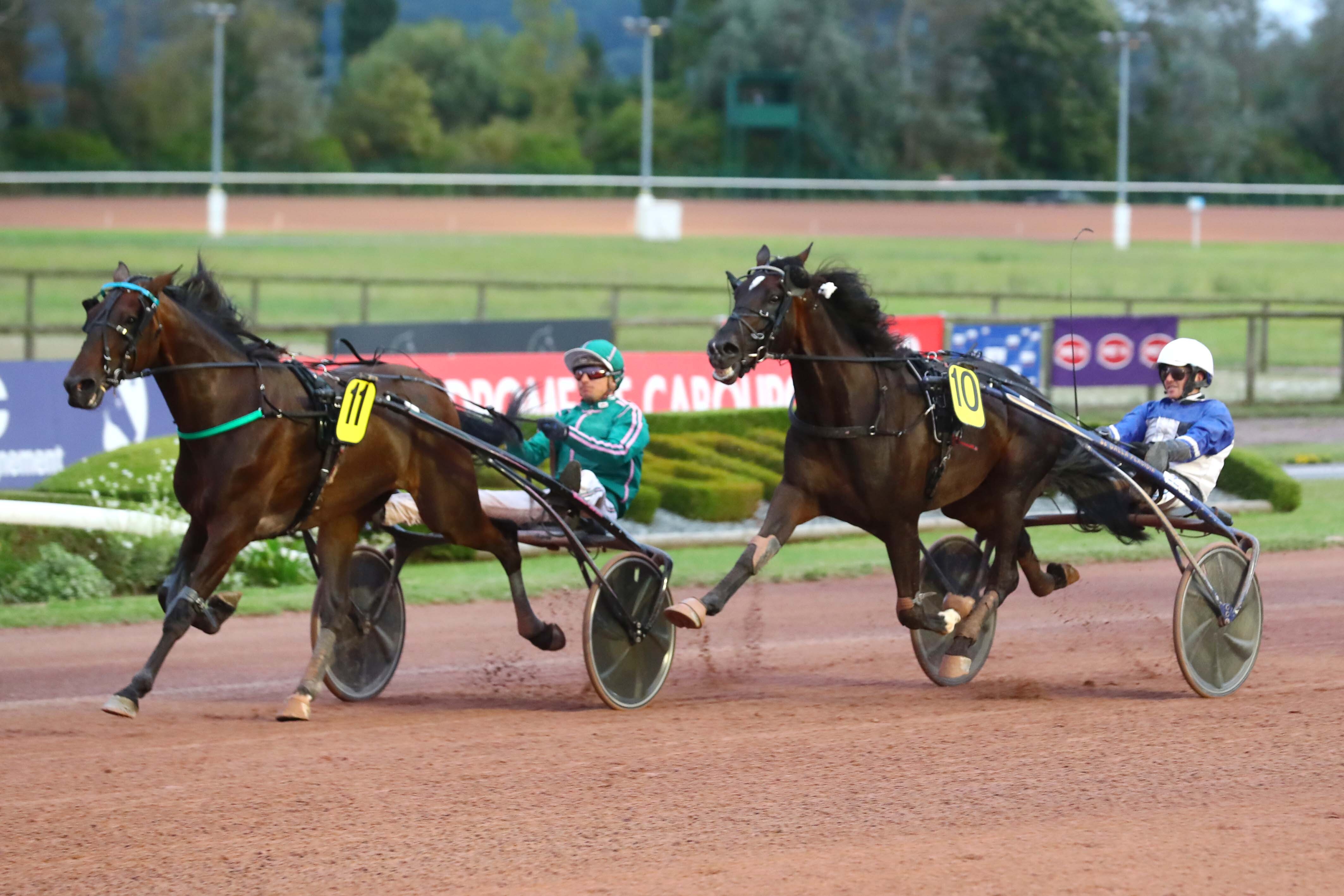 Cabourg (Calvados), le 23 Août 2024. Hasard d'Erable (n° 11) file vers un deuxième succès dans un quinté, sous la menace de Dowhatyoudodowell. SCOOPDYGA - LABROSSE Brad