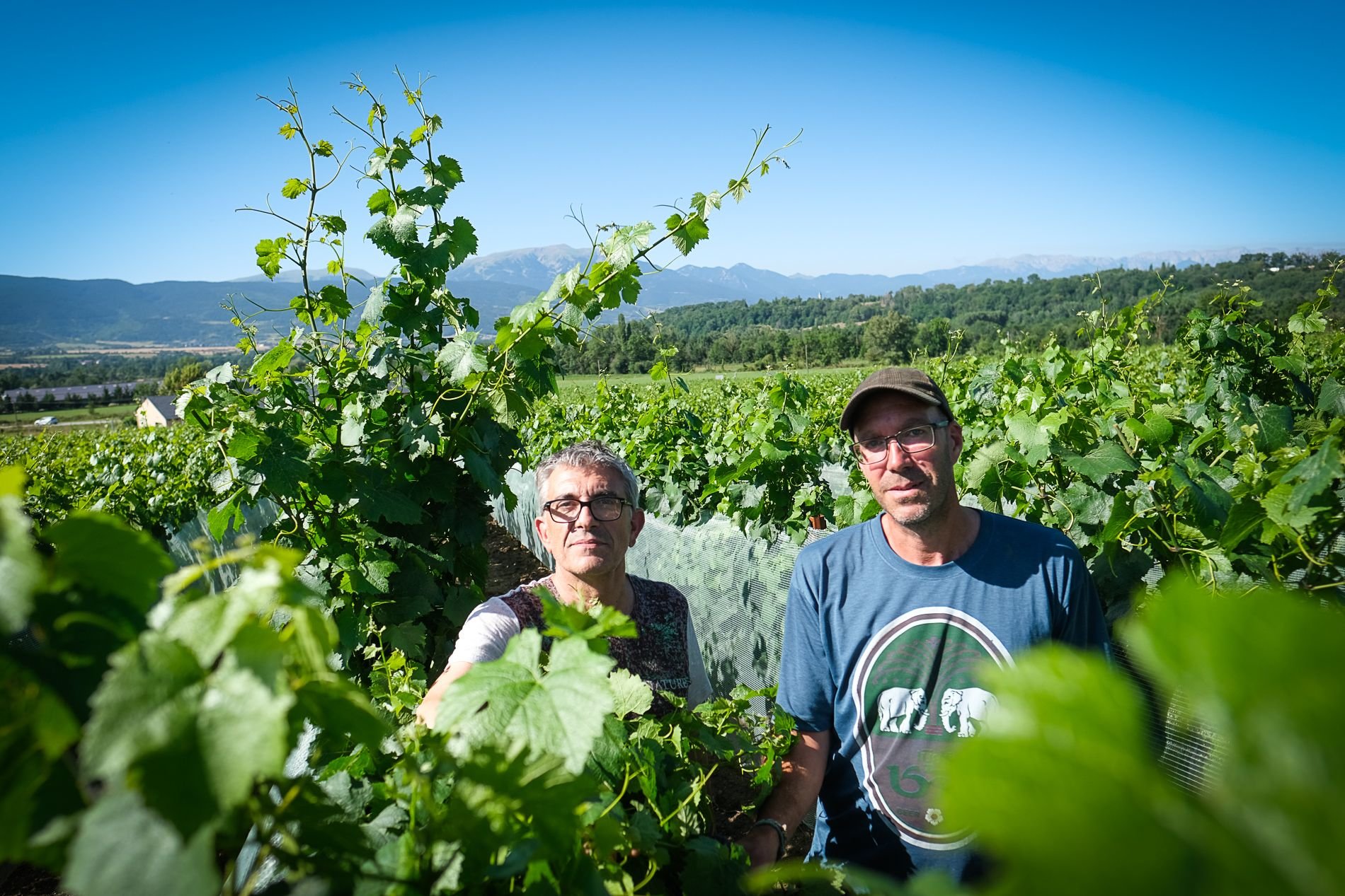 Hervé Sabardeil (à gauche) et Vincent Ginestet sont aux petits soins pour leurs vignes montagnardes jusqu'aux vendanges en octobre. LP/Yann Kerveno