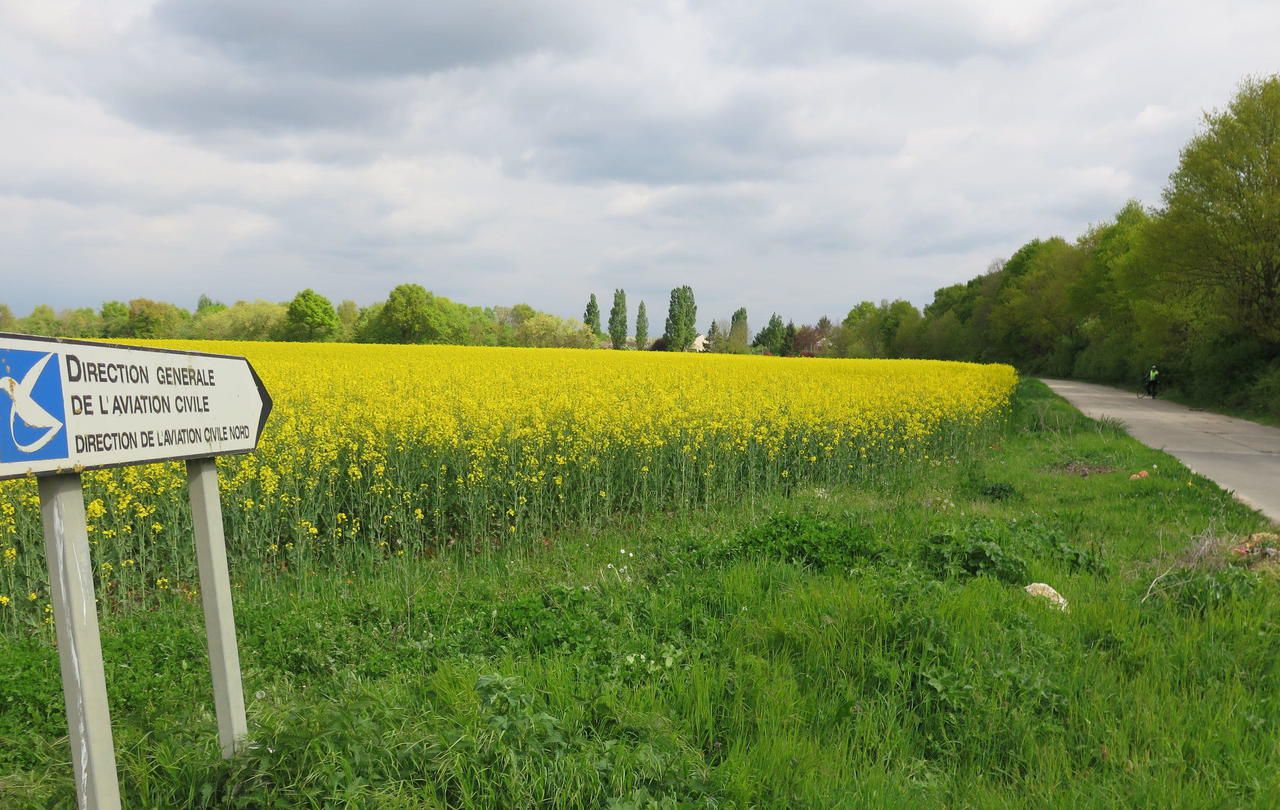 <b></b> Chevannes, mardi 17 avril. La commune souhaite que les 110 ha laissés libres par la direction générale de l’aviation civile soient « intégralement affectés aux activités agricoles ».