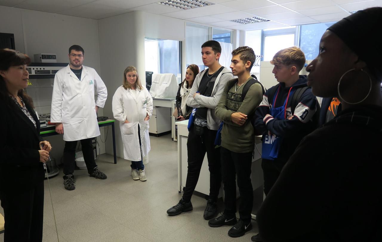 <b></b> Champs-sur-Marne, mercredi 10 octobre 2018. Des lycéens de René-Descartes ont visité le laboratoire spécialisé en nanomatériaux de l’Université Paris Est Marne-la-Vallée.