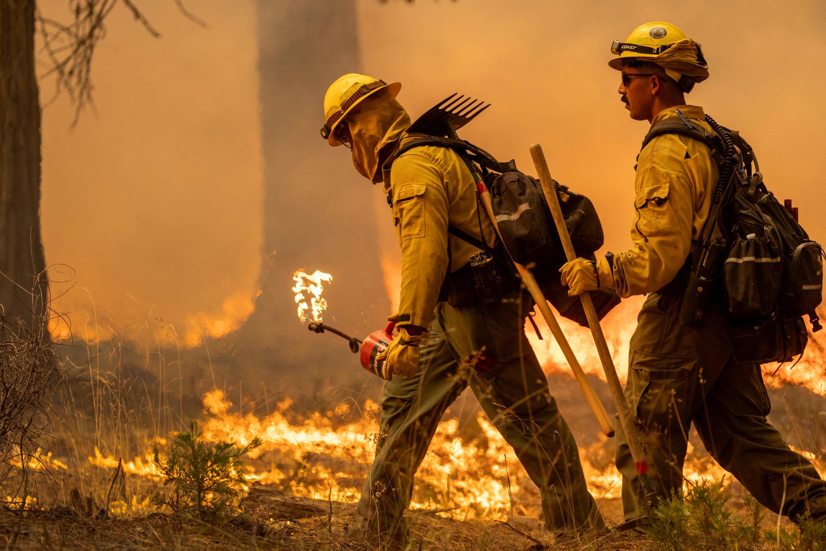 La Californie est en proie à un nouveau feu de grande ampleur depuis le 24 juillet. AFP/DAVID MCNEW