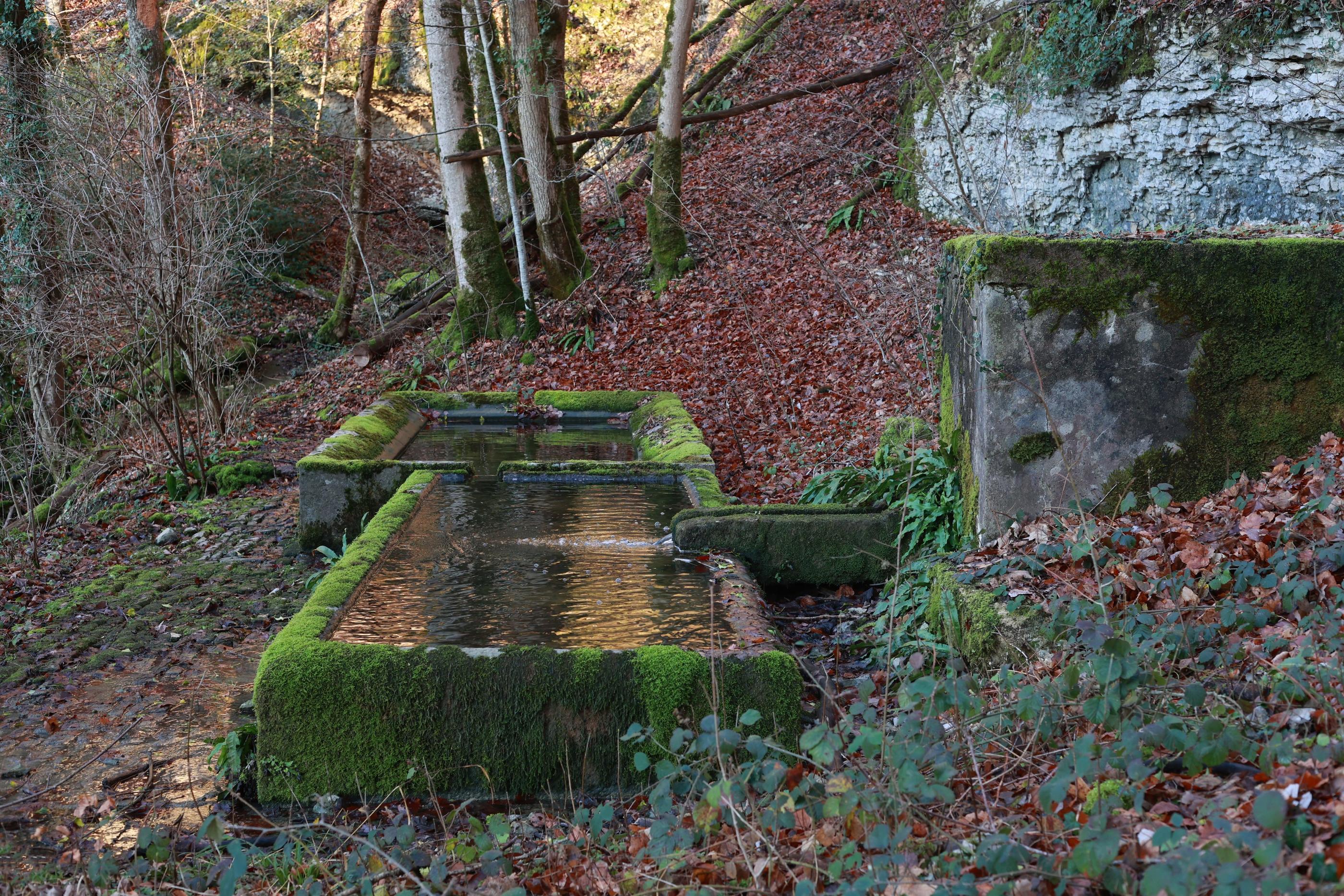 En piteux état, la fontaine de Léri, située sur la commune de Chassagne-Saint-Denis (Doubs) pourra être restaurée grâce au tableau de Gustave Courbet de 1863, seul témoignage de l'ouvrage à son origine. PhotoPQR/L'Est Républicain/ Ludovic Laude