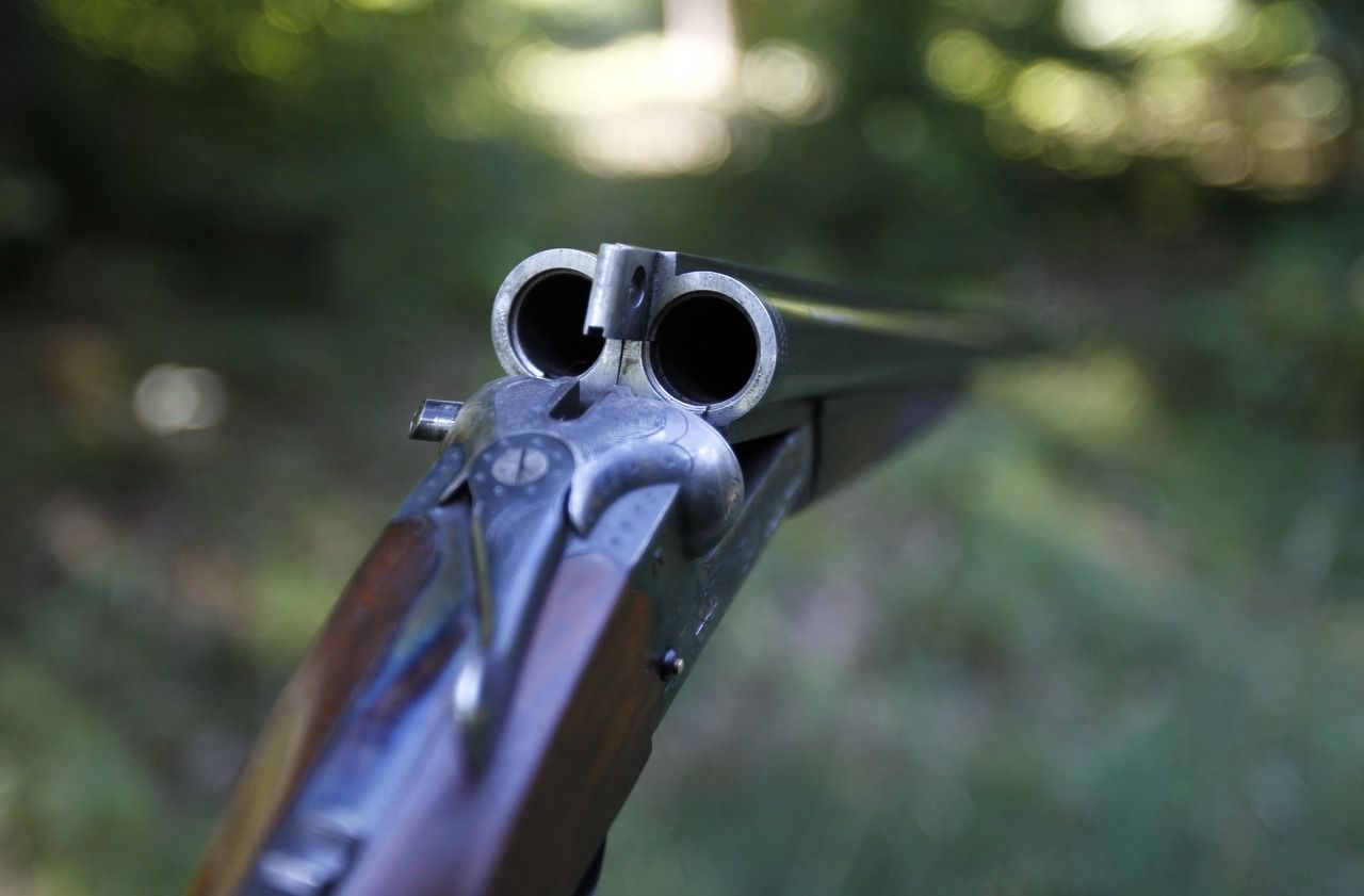 Il poursuivait un cerf et tue une femme un chasseur de l Aveyron