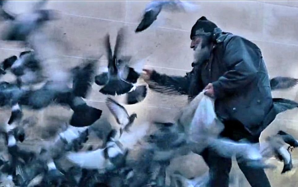 Dans son film «L'homme aux pigeons», la réalisatrice Lina Maria Mannheimer raconte la vie de Giuseppe Belvedere. L'homme a été retrouvé mort dans sa camionnette mardi 11 janvier. /Photo Lina Maria Mannheimer