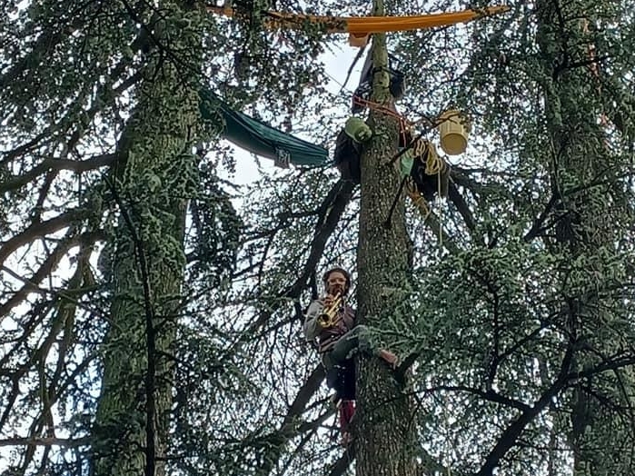 Pour éviter que des cèdres centenaires ne soient abattus dans le cadre d'un projet d'extension de l’hôpital de Thonon-les-Bains (Haute-Savoie), Sébastien Gerlier a installé un bivouac dans l'un des arbres menacés. DR