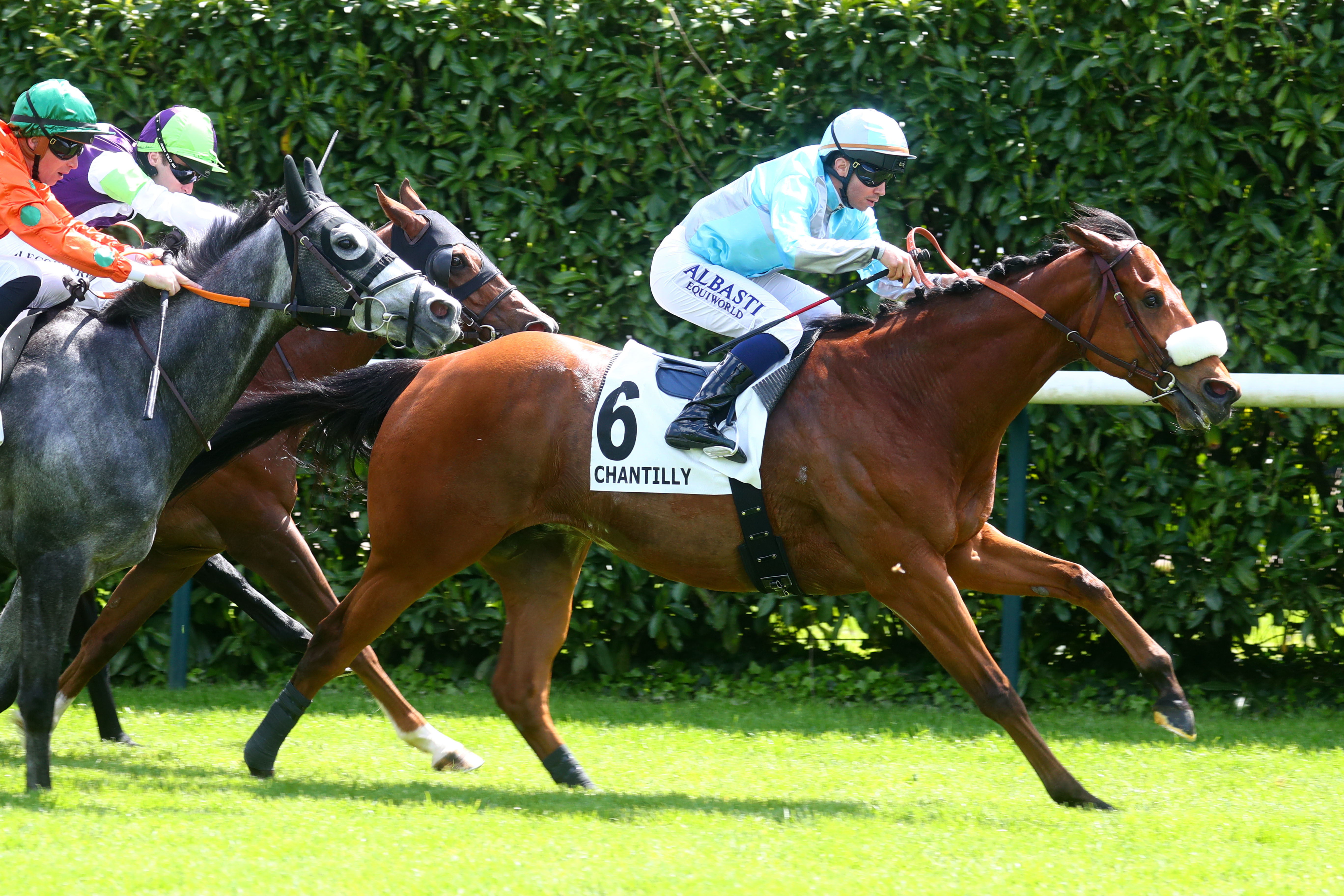 Chantilly (Oise), le 7 Mai 2024. Raysteve remporte un troisième quinté avec facilité. SCOOPDYGA - CHOURAQUI Elliott