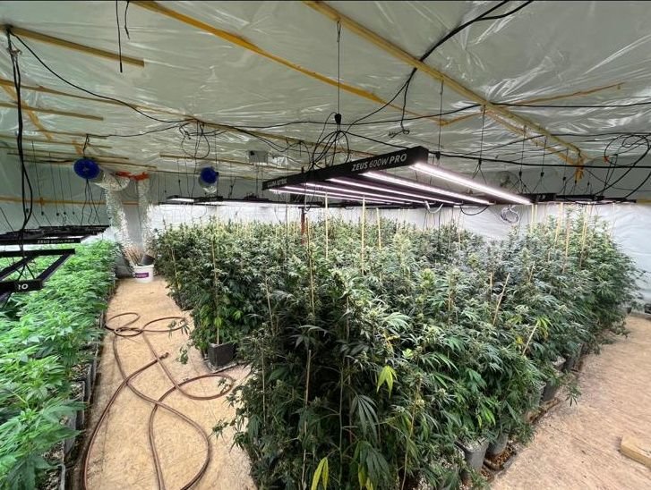 Limoges-Fourches, mardi. Les policiers de la police judiciaire du Val-de-Marne ont découvert une ferme de culture de cannabis, avec 2 700 plants. DR