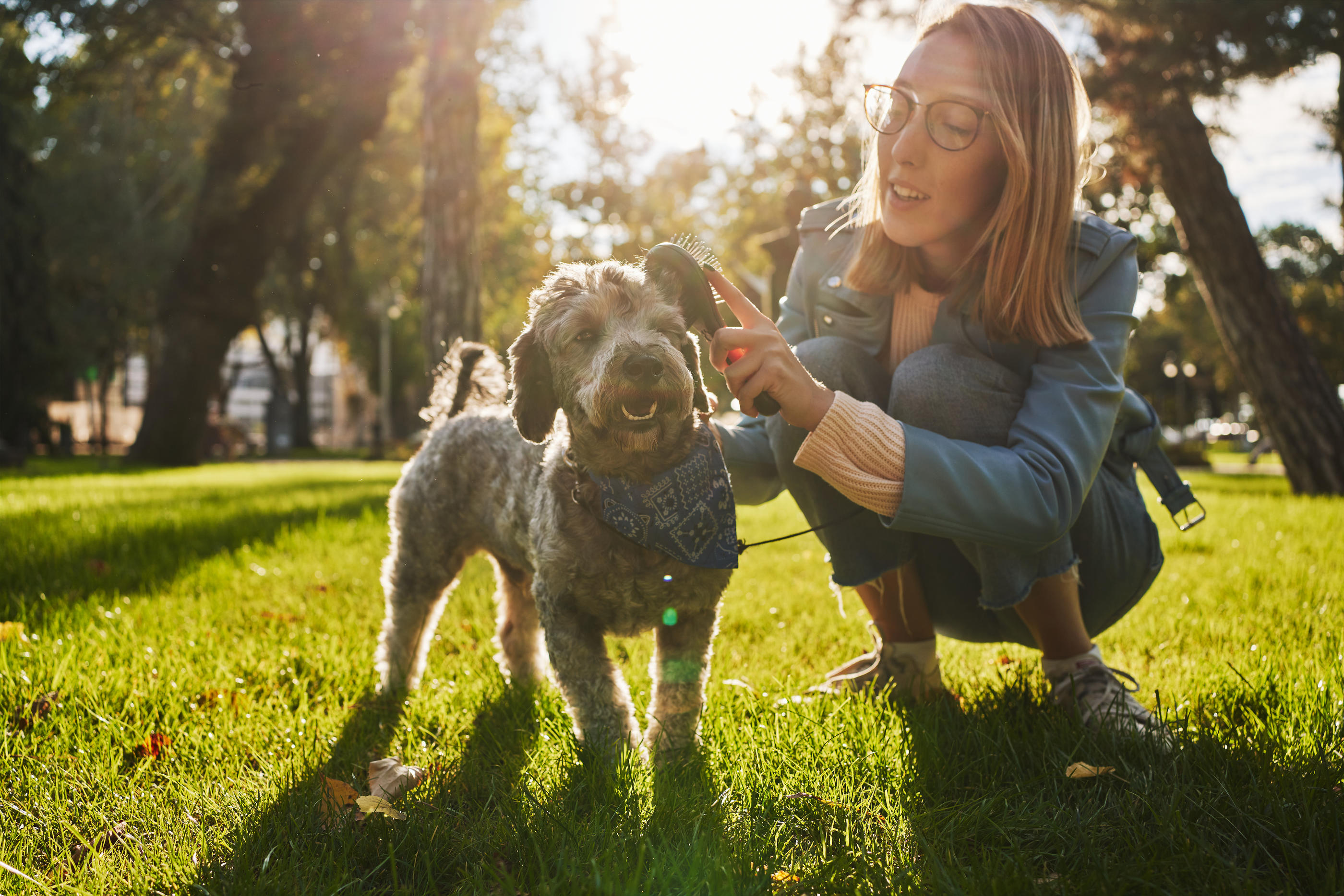 L'étude a mesuré l'impact de plusieurs gestes d'affection quotidiens envers l'animal, comme lui donner des friandises ou le brosser. (llustration) Istock