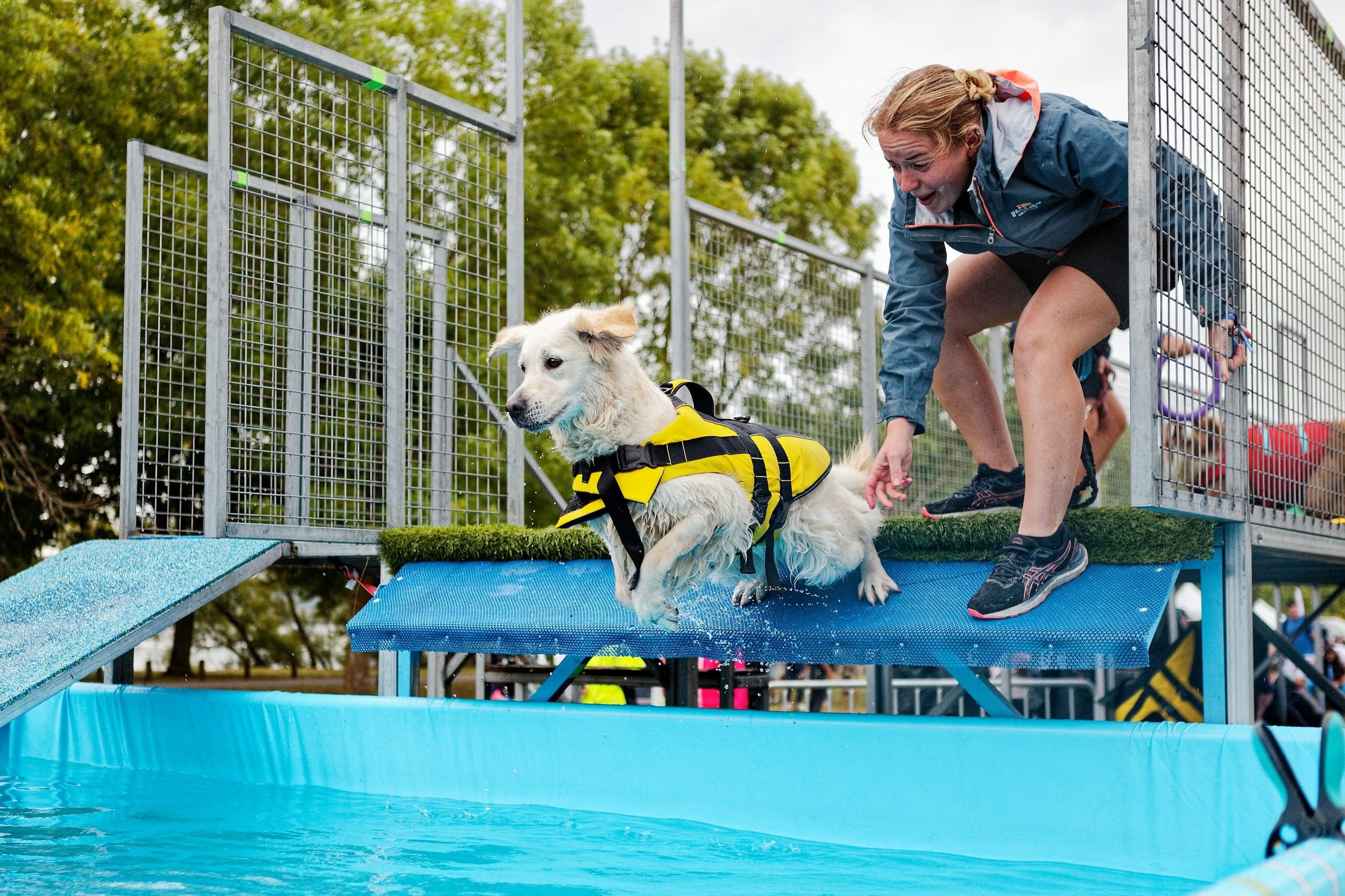 Les chiens et les maîtres se sont initiés au Dog diving. #PRESSE30