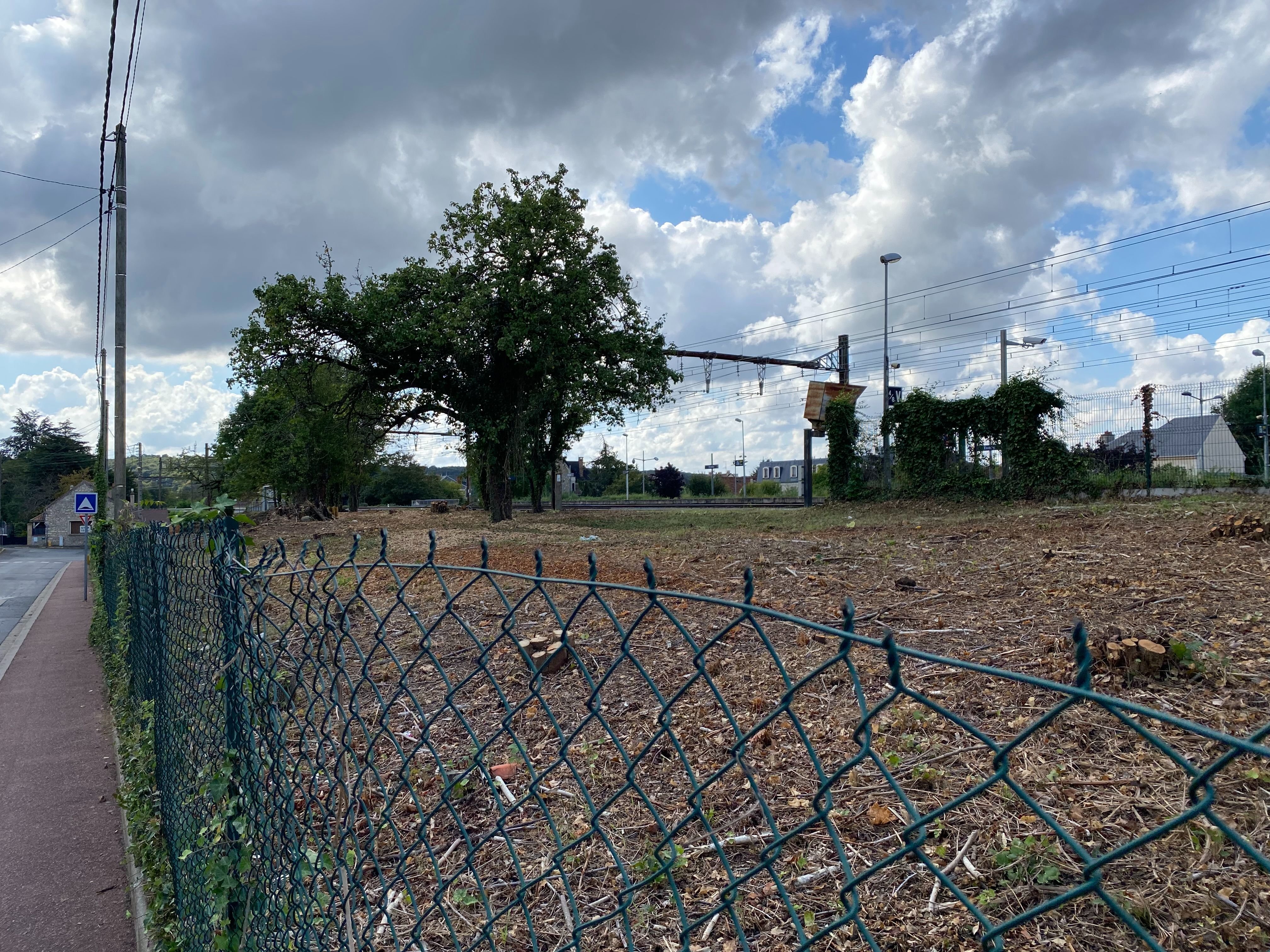 Etréchy (Essonne), le 14 septembre 2023. Sur ce terrain d’environ 2 000 m2 situé entre la voie ferrée et la rue de Vuinté, la quasi-totalité de la végétation qui s’y trouvait a été coupée par la SNCF. LP/ V.H.-M.