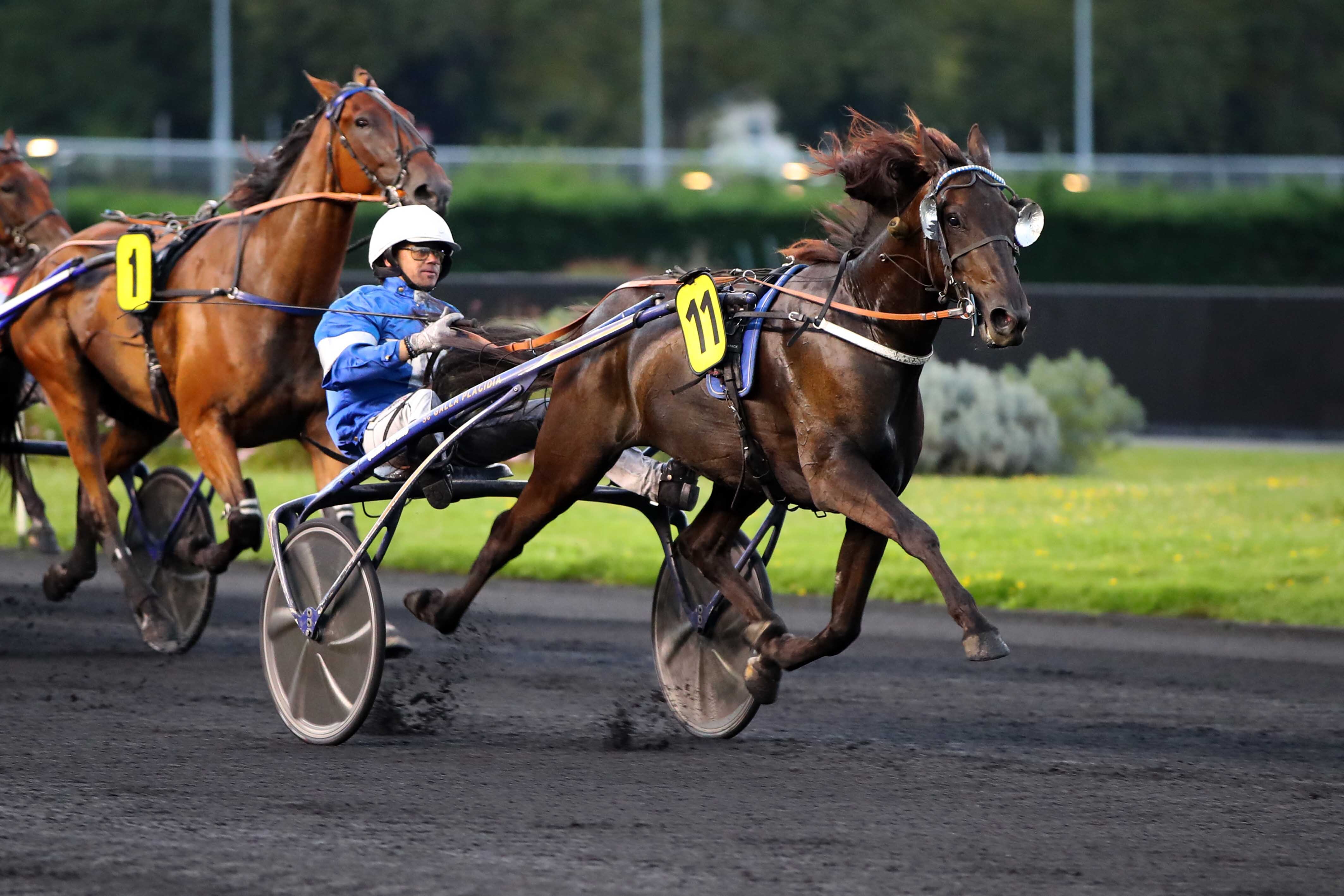 Paris-Vincennes (XIIe), vendredi 6 septembre. Jérémy d'As se montre le plus fort et remporte son premier quinté. (Scoopdyga)