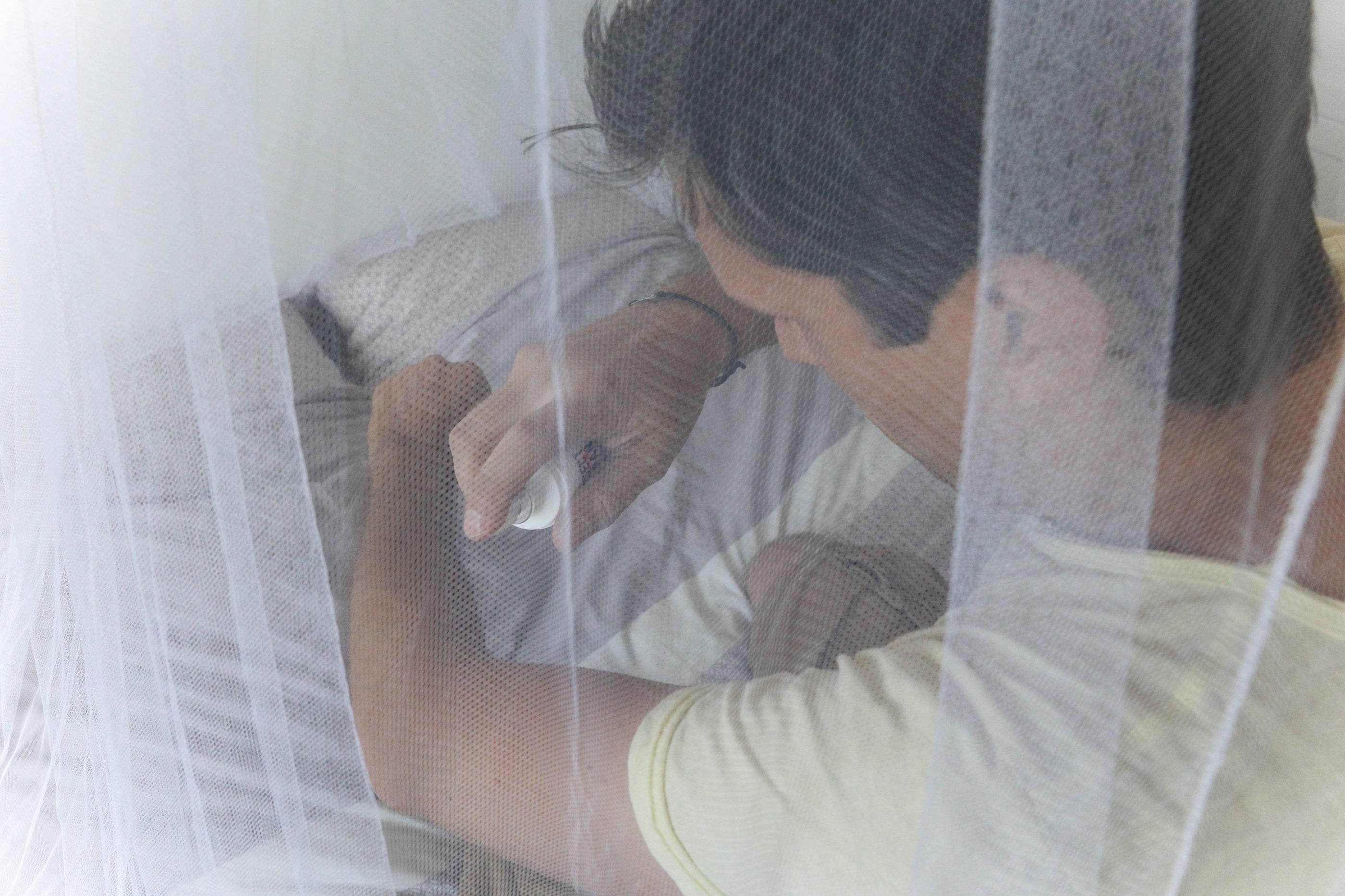 L'installation de moustiquaires aux fenêtres reste le meilleur moyen de lutter contre cet insecte (Illustration). LP/Aurélie Ladet