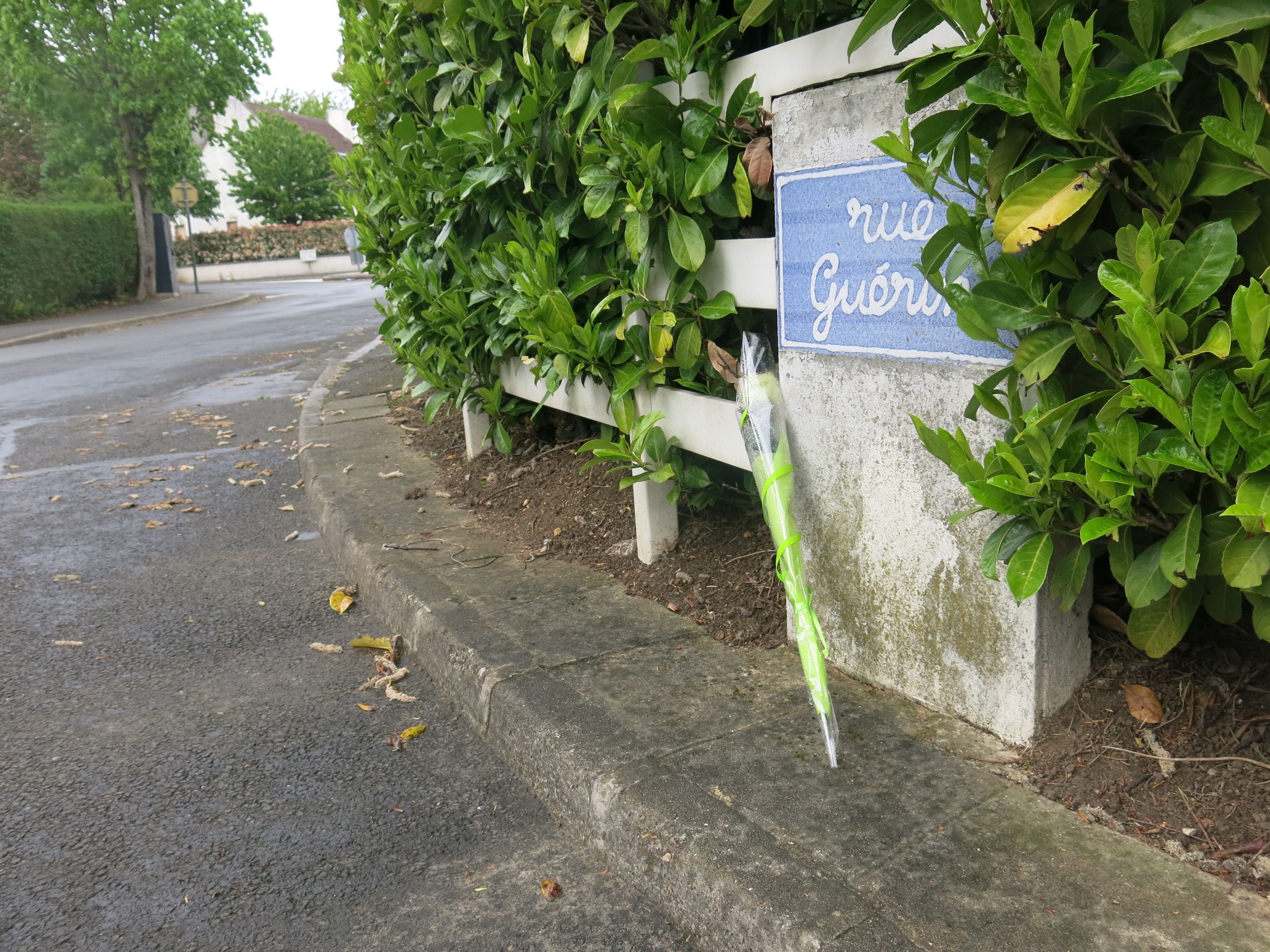 Au lendemain de la découverte du corps d'une jeune femme, rue Guérin à Pontault, une fleur a été déposée sur les lieux où elle a été retrouvée. LP/Sébastien Blondé