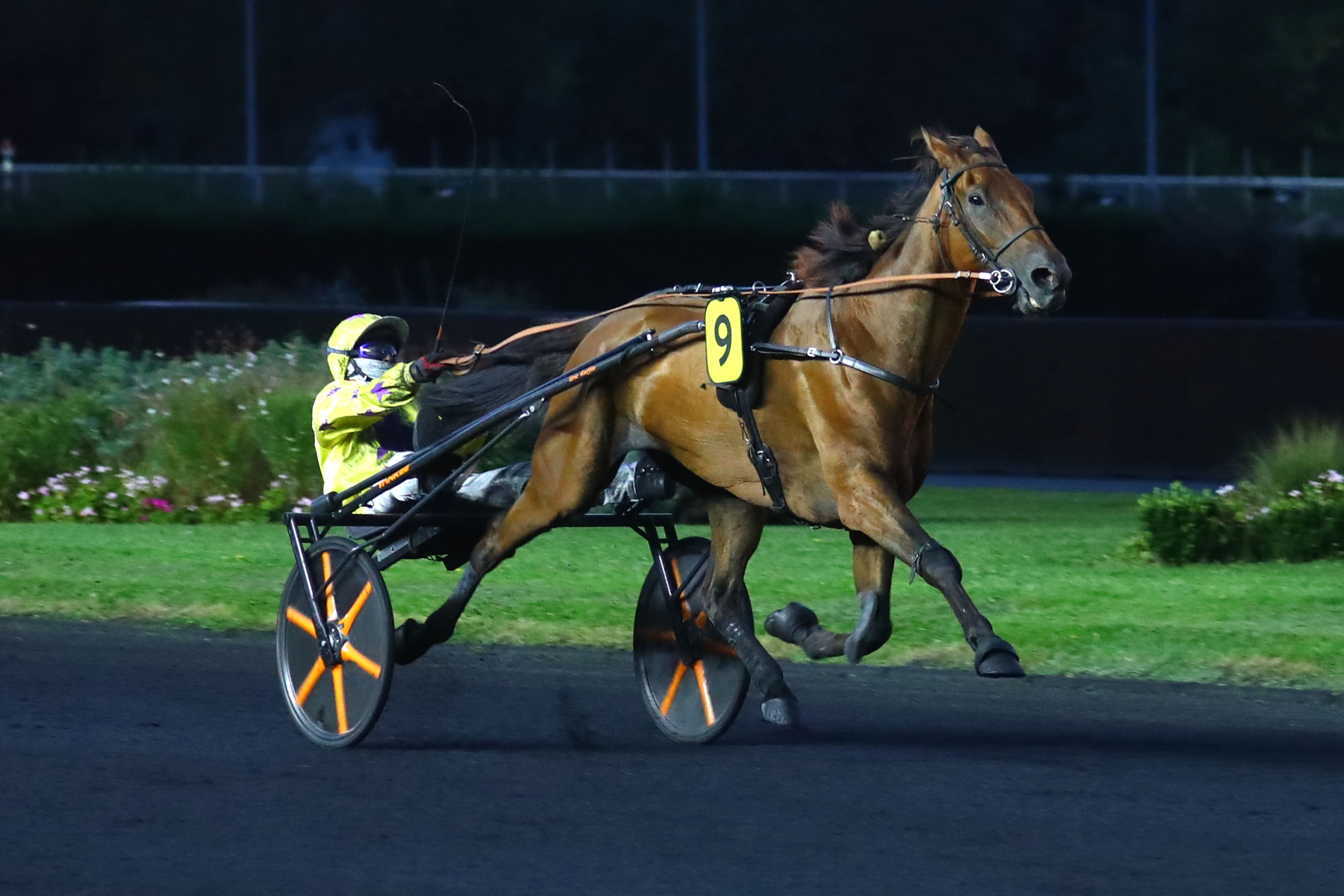 Paris-Vincennes (XIIe), le 13 Septembre 2024. Harison du Plessis double la mise dans les quintés et laisse à nette distance ses adevrsaires. SCOOPDYGA - CHOURAQUI Elliott