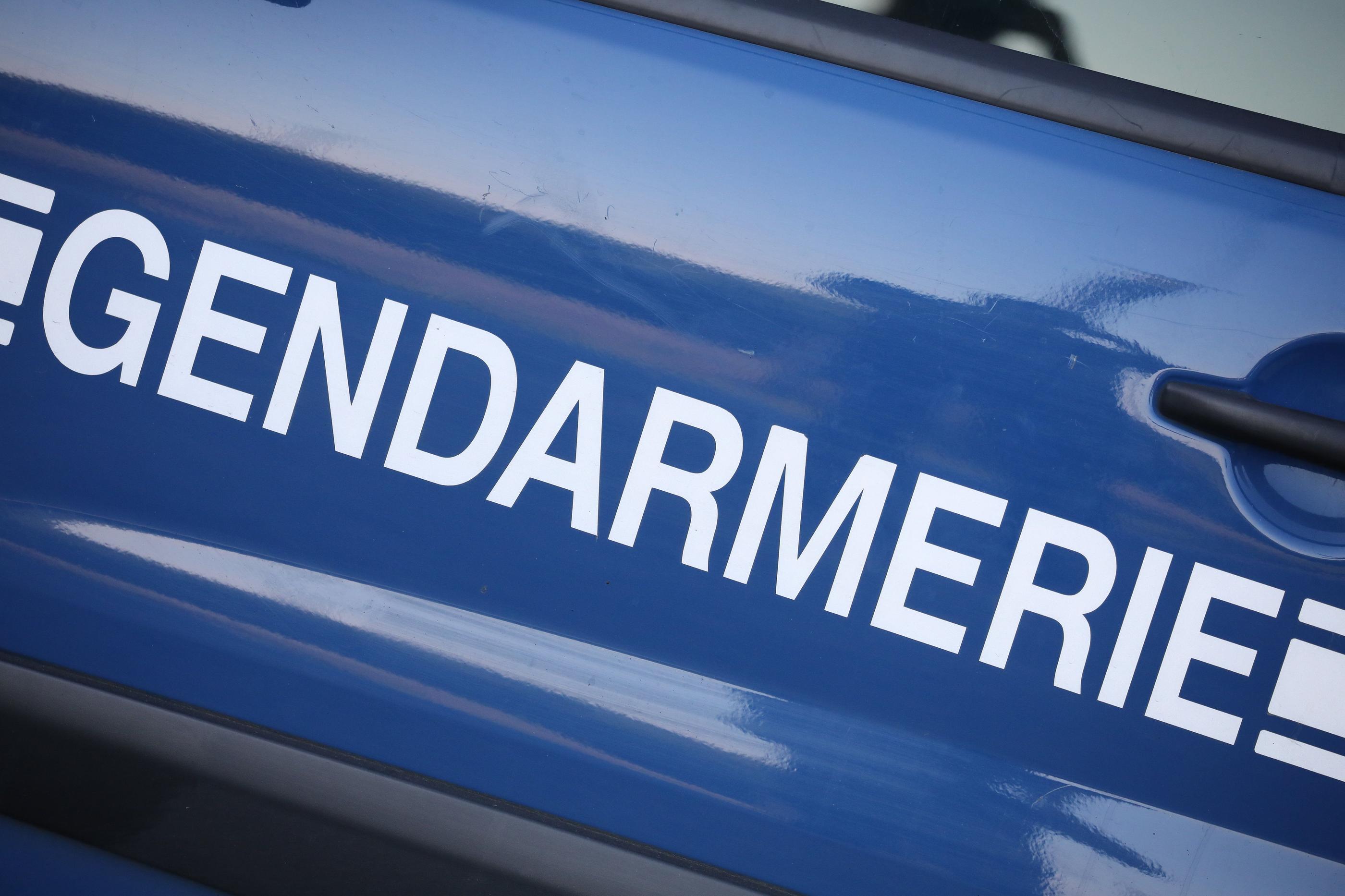 La gendarmerie avait lancé un appel à témoins pour identifier les suspects. LP/Arnaud Journois