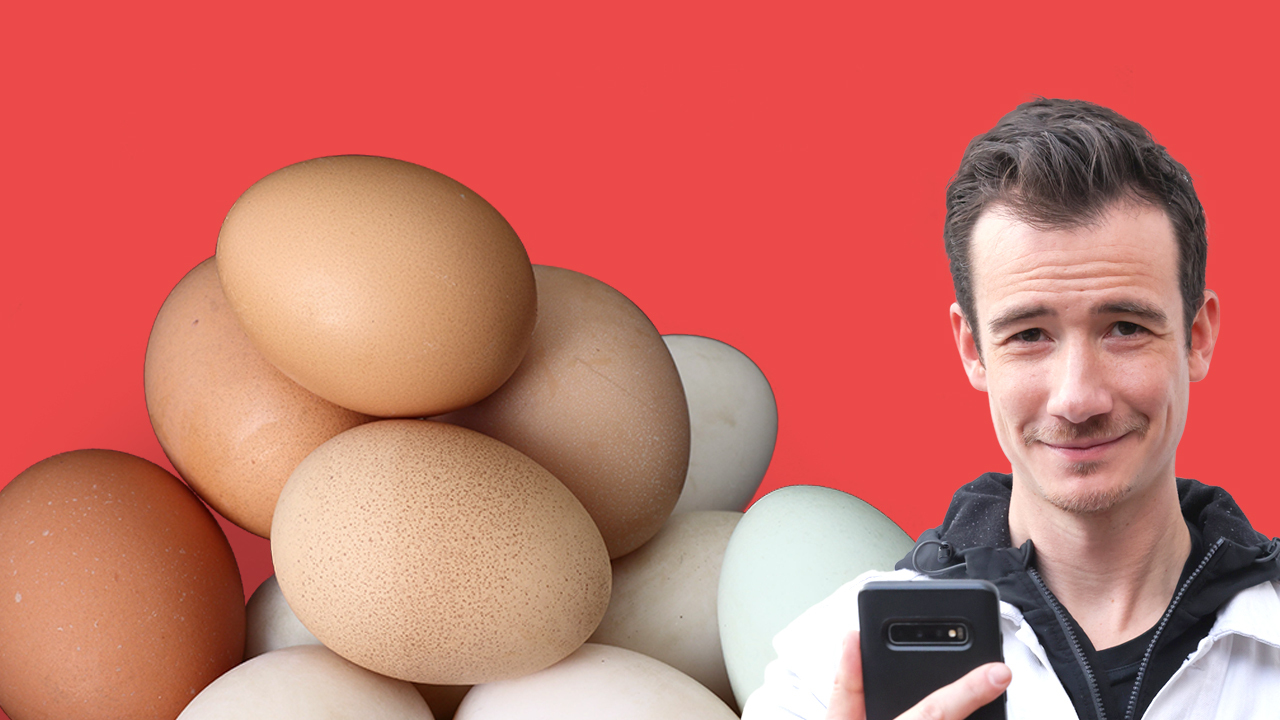 Dans cet épisode de Food Checking, Hadrien Gonzales s'est intéressé à la date de péremption des œufs.