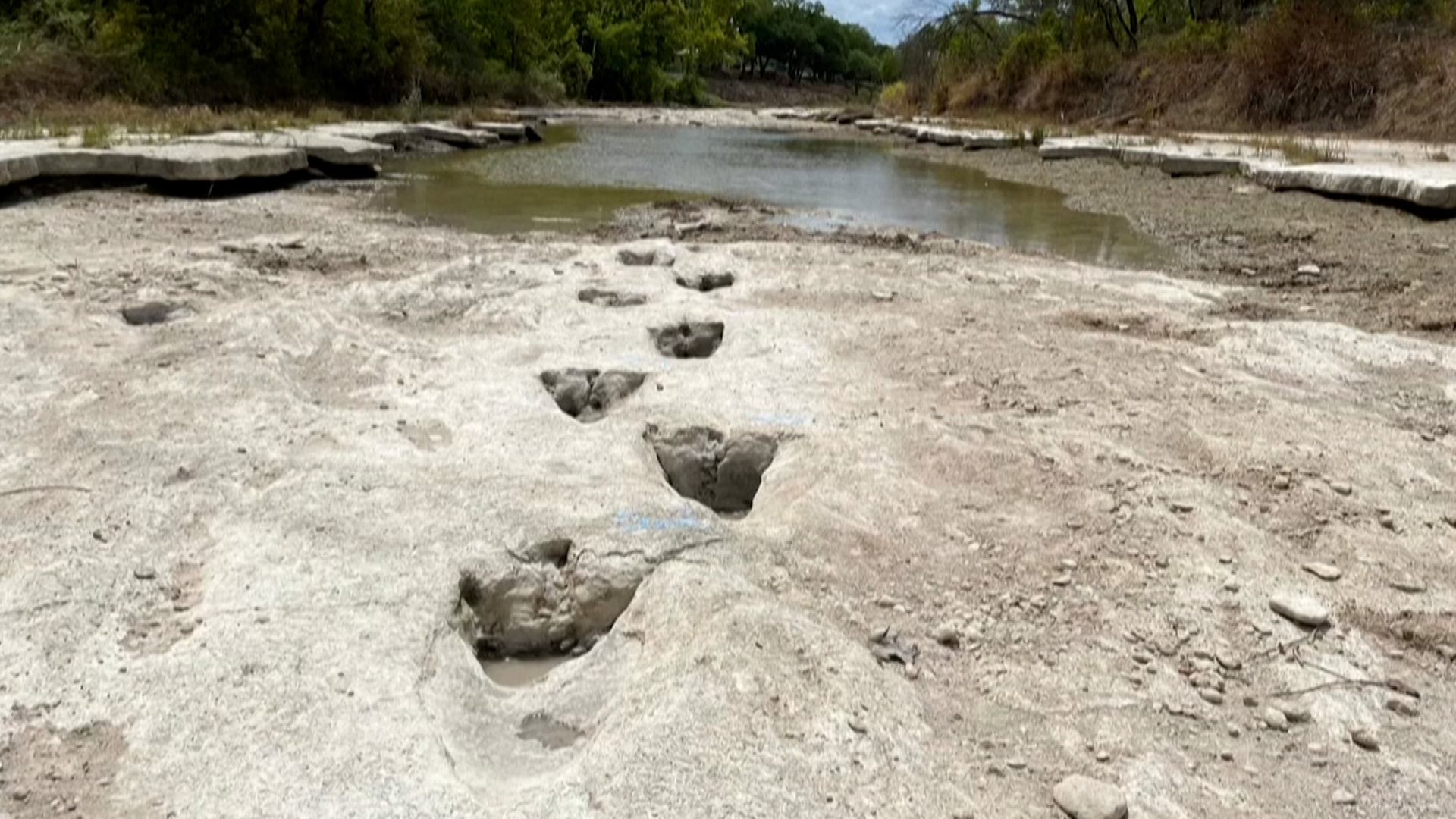 Ces traces de dinosaure datent de près de 113 millions d’années et ont été parfaitement conservées. Dinosaur Valley State Park/ AFP