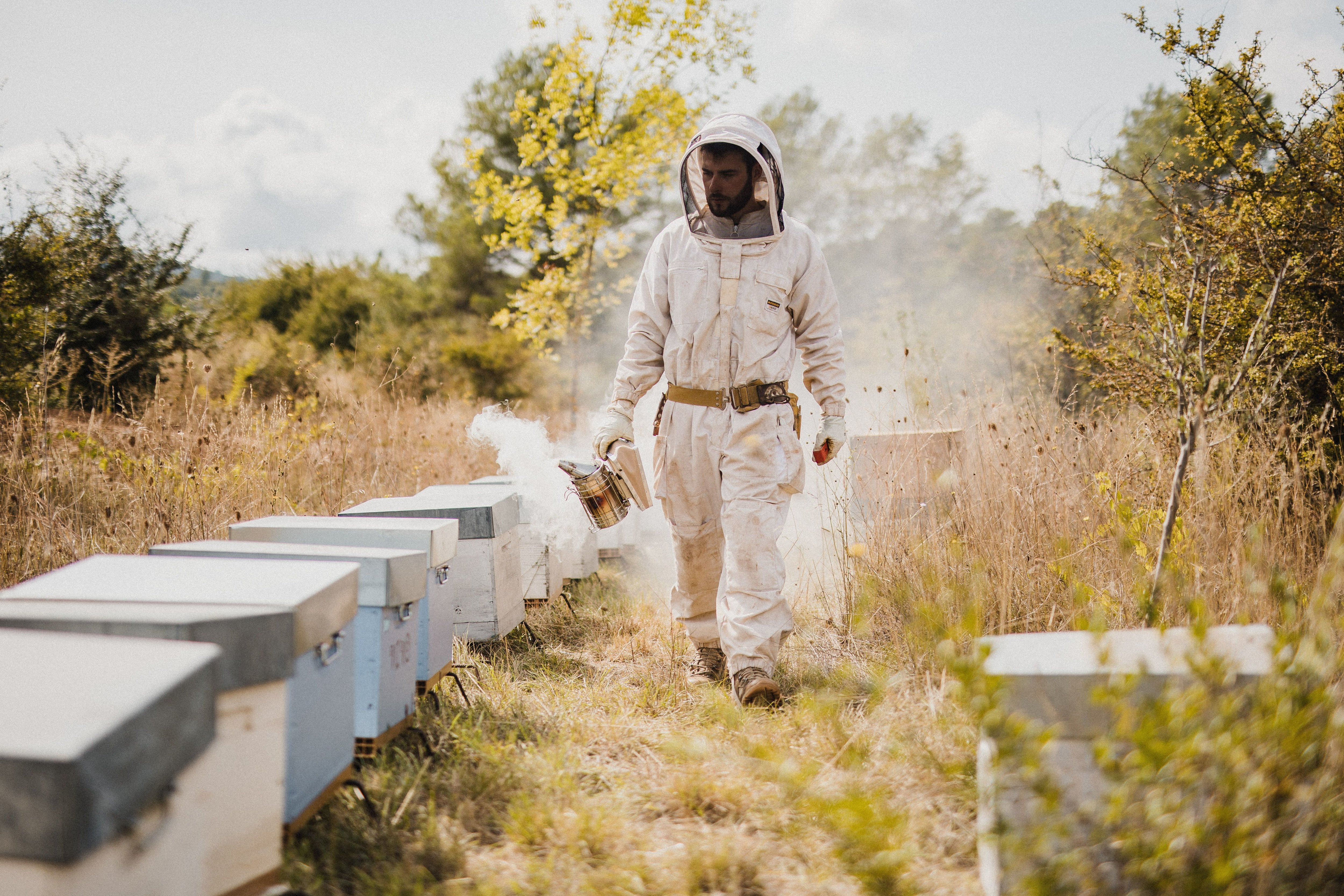 Alban Mauzac, apiculteur ariégeois, alerte sur les raisons du déclin des pollinisateurs comme l’urbanisation, l’invasion du frelon asiatique ou encore l’agriculture intensive qui a détruit les haies et éradiqué plusieurs espèces de fleurs sauvages. ©David Latour