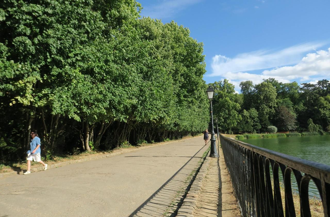 <b></b> Ville-d’Avray, juillet 2020. Ces digues des étangs de Corot vont être transformées en barrages.