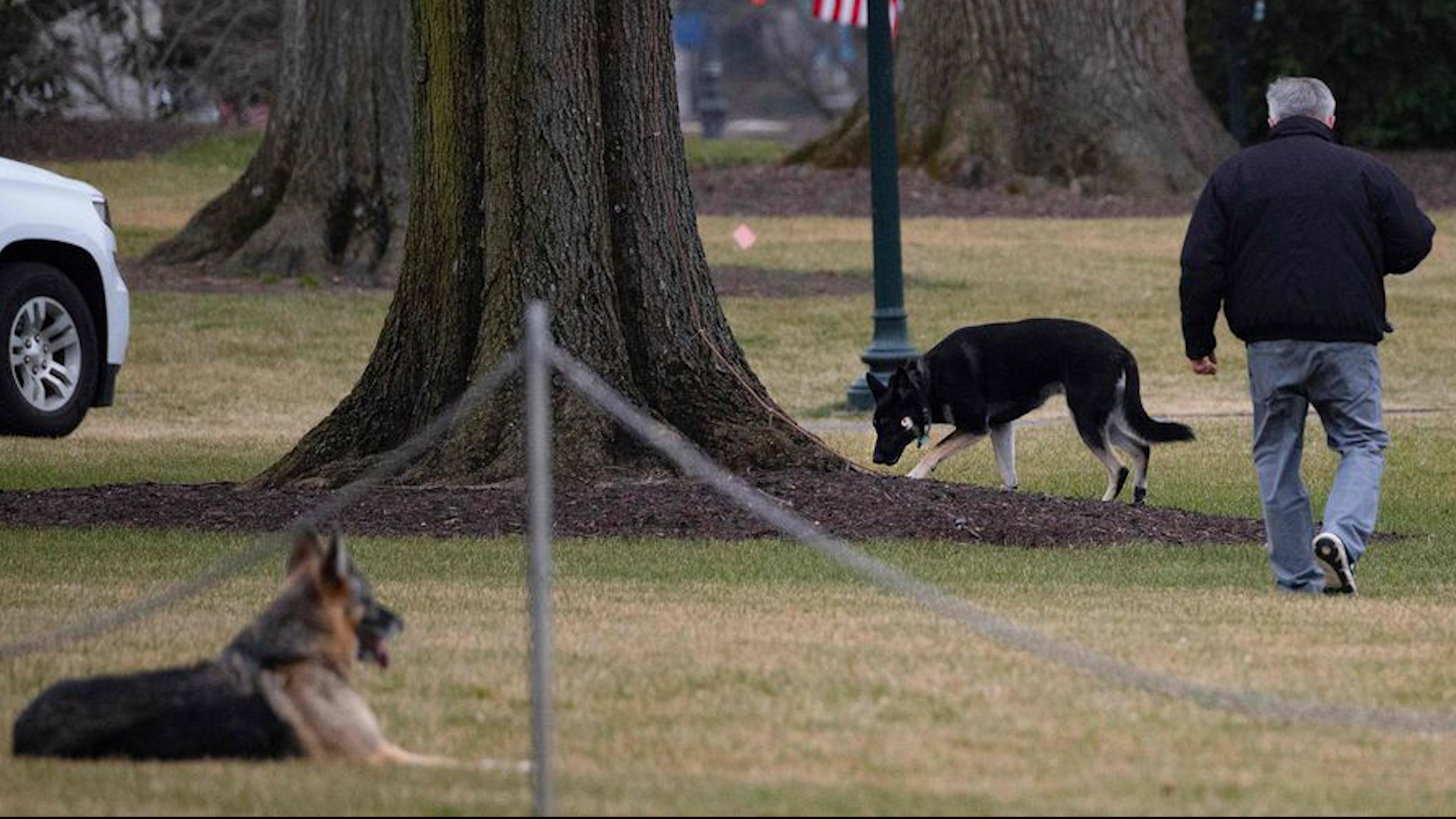 Photo of El perro de Joe Biden muerde a los guardaespaldas, el presidente lo despide de la Casa Blanca