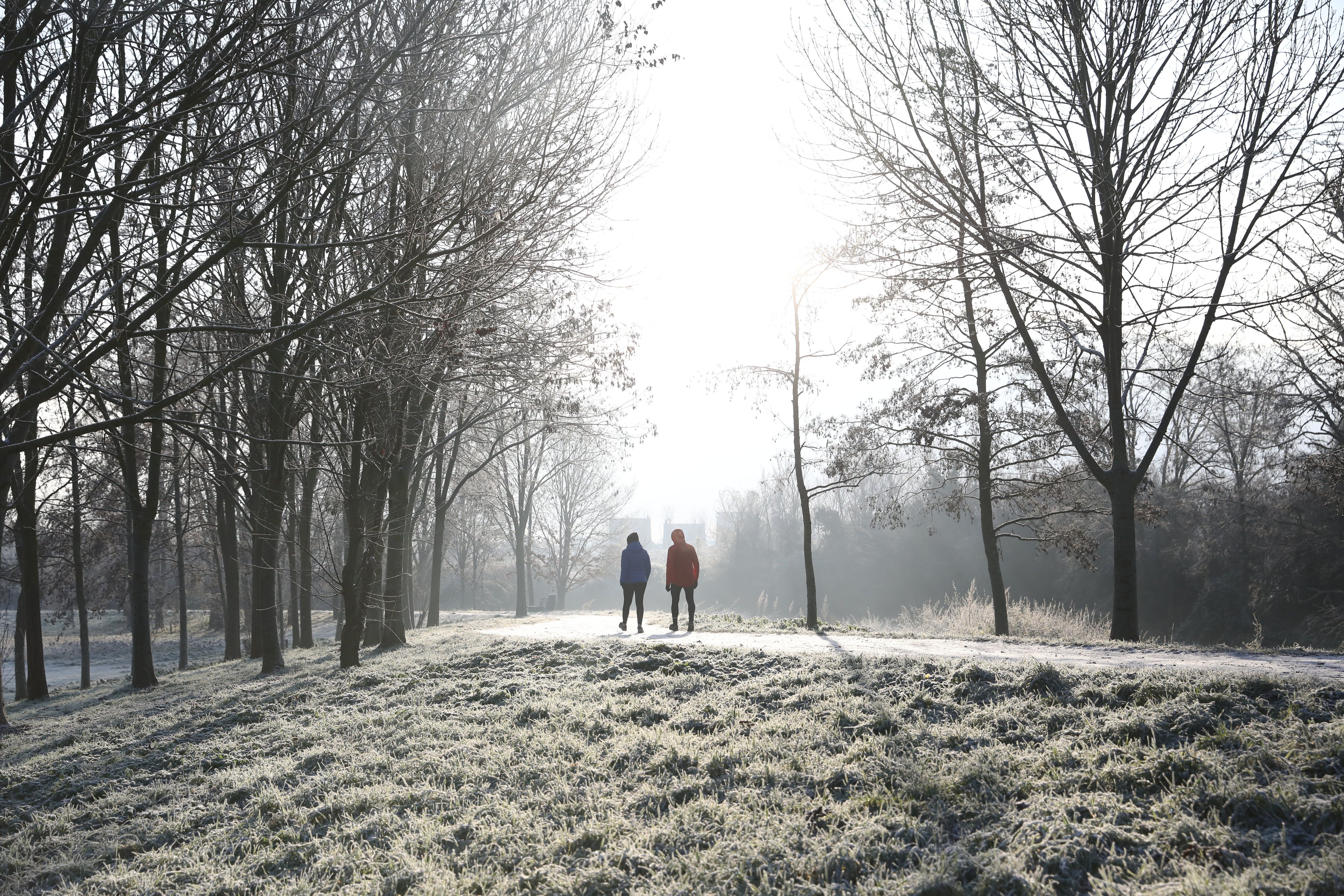 Le gel était proche ce jeudi matin dans la Marne. (Illustration) LP/Arnaud Journois