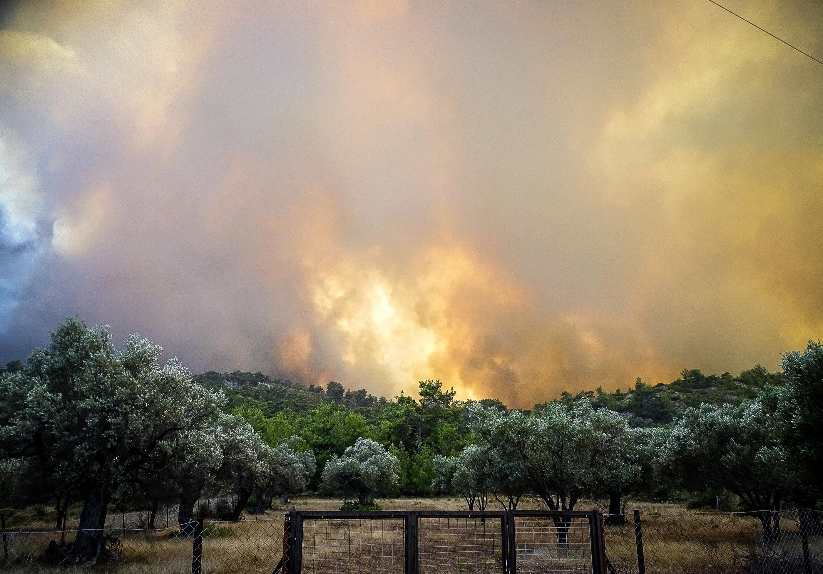 De violents feux de forêt ont continué de faire rage ce week-end sur l'île de Rhodes, en Grèce, étouffée depuis plusieurs jours par une forte canicule. REUTERS/Lefteris Damianidis