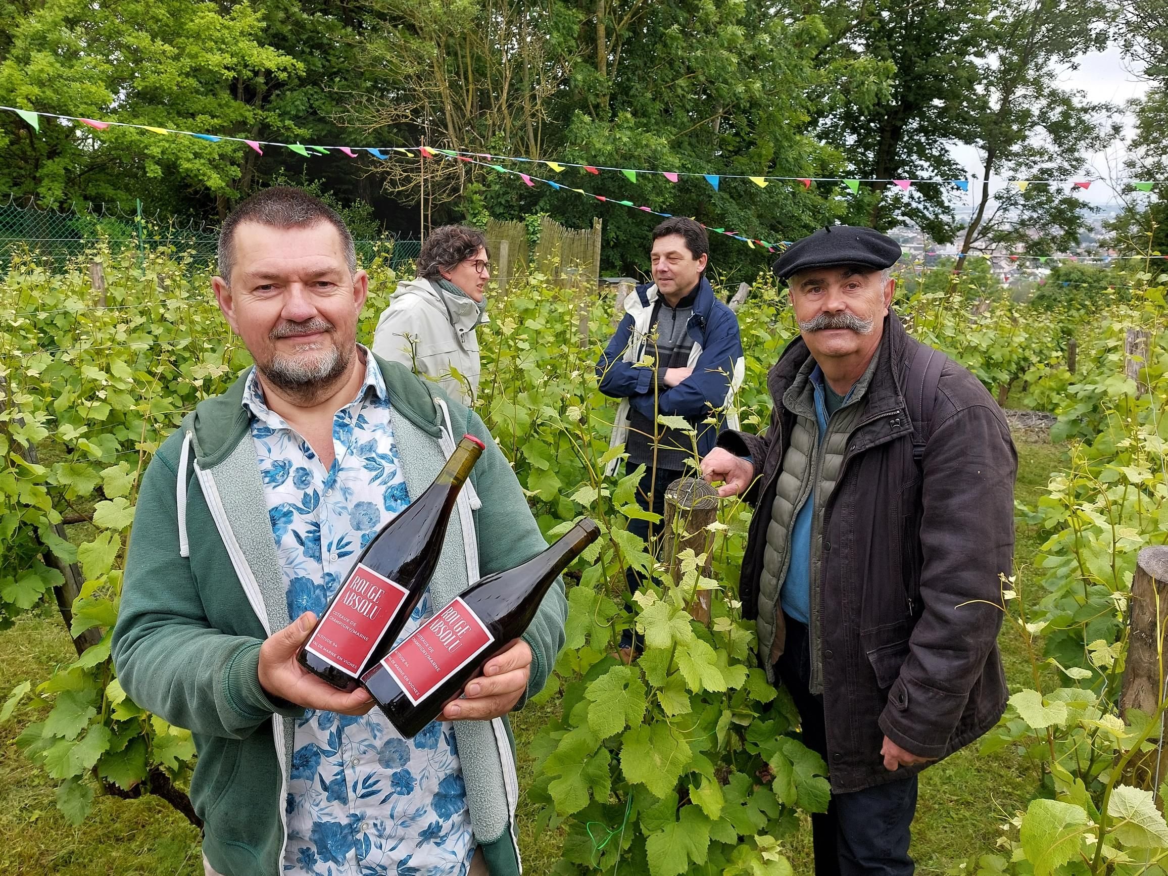 Champigny-sur-Marne, dimanche 2 juin. Les bénévoles de l'association Les Vignes du coteau de Champigny ont fort à faire pour entretenir les 800 pieds de pinot noir. LP/G.M.